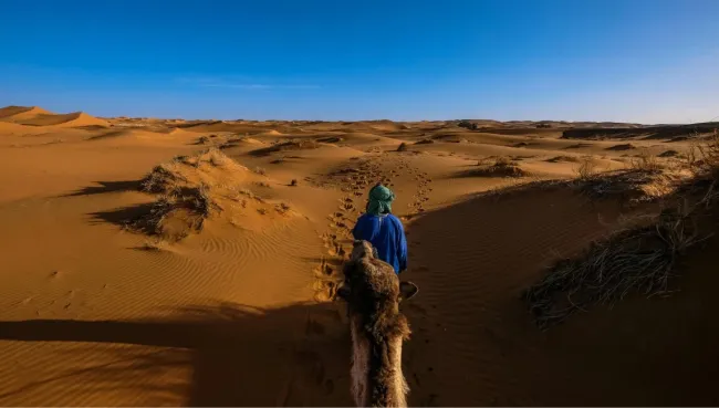 Surfcamps Marokko Anreise