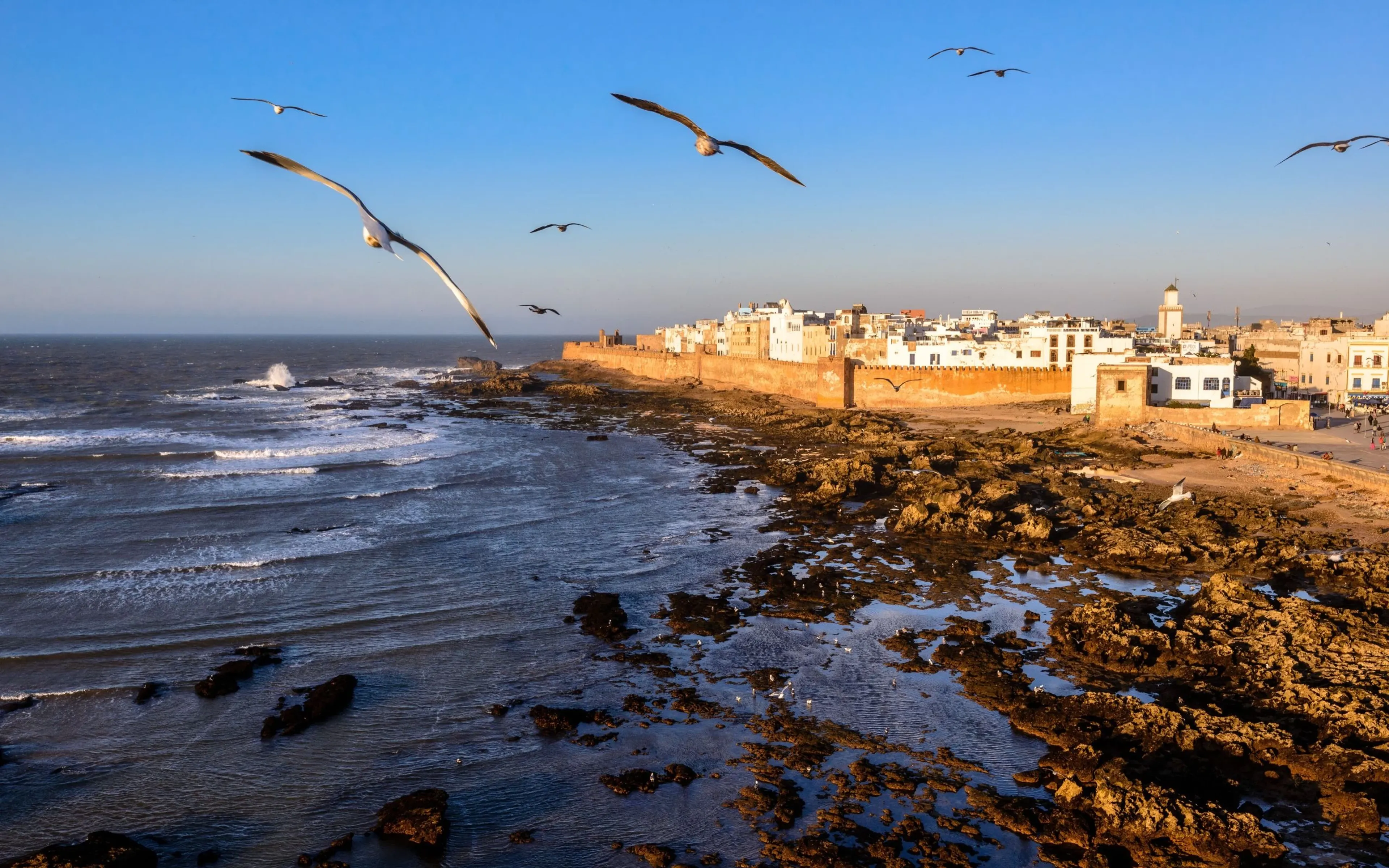die felsige Küste vor Essaouira mit der Stadtmauer, die die Altstadt umschließt und den typischen weißen Häusern mit blauen Fenstern