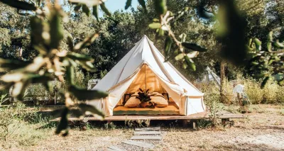 Glamping Zelt im Pinienwald im Surfcamp in Frankreich