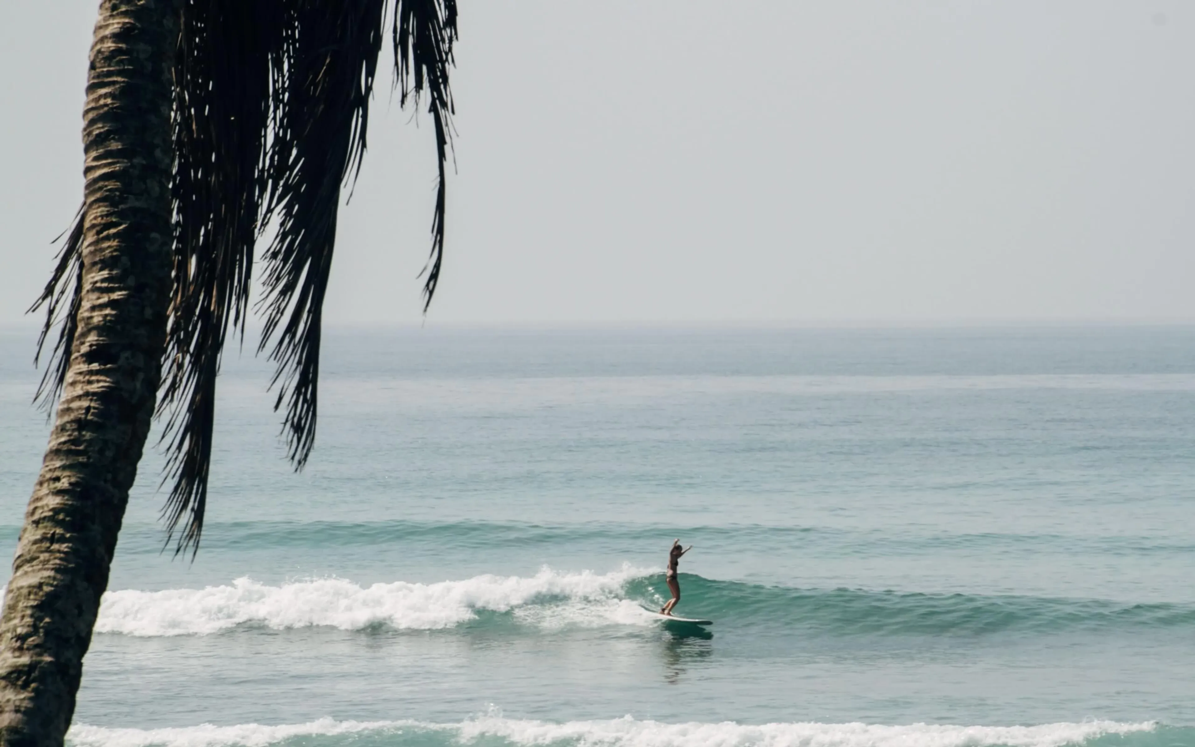 Surfcamps Weligama