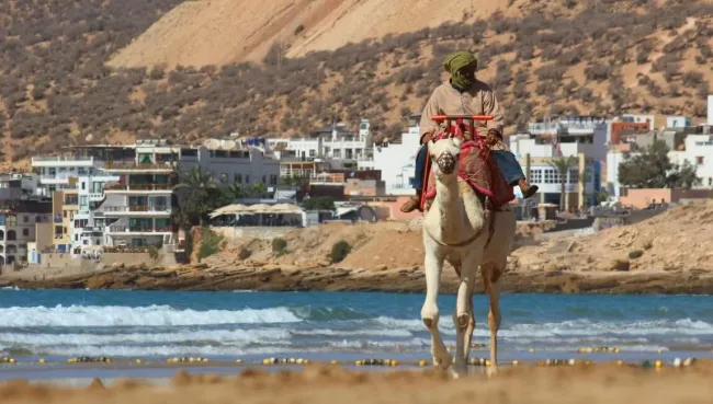 Mann reitet auf Kamel am Strand in Taghazout
