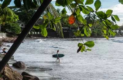 Surfcamps Costa Rica am Strand
