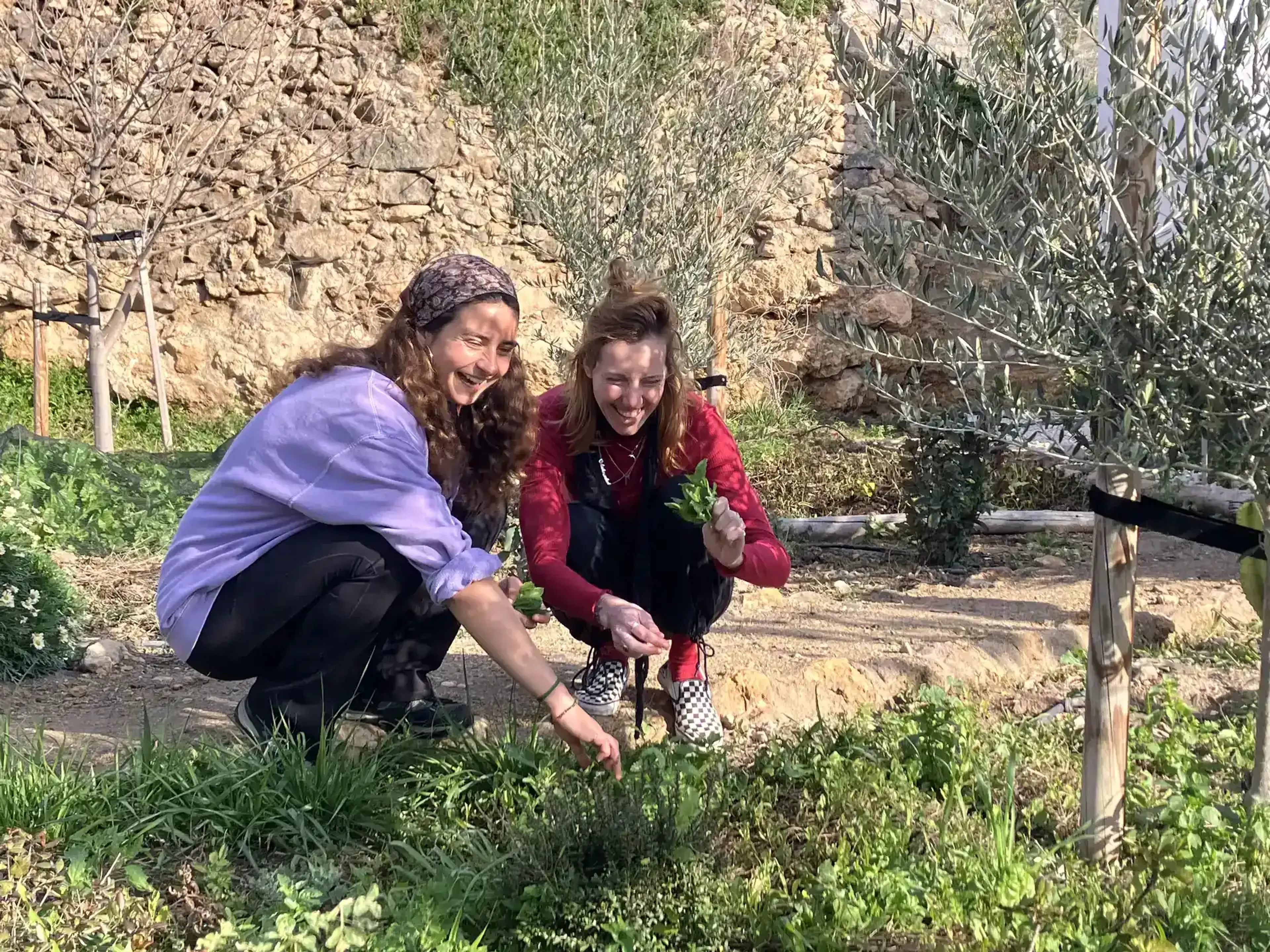 Selbstfindung und Meditation im andalusischen Garten - 2