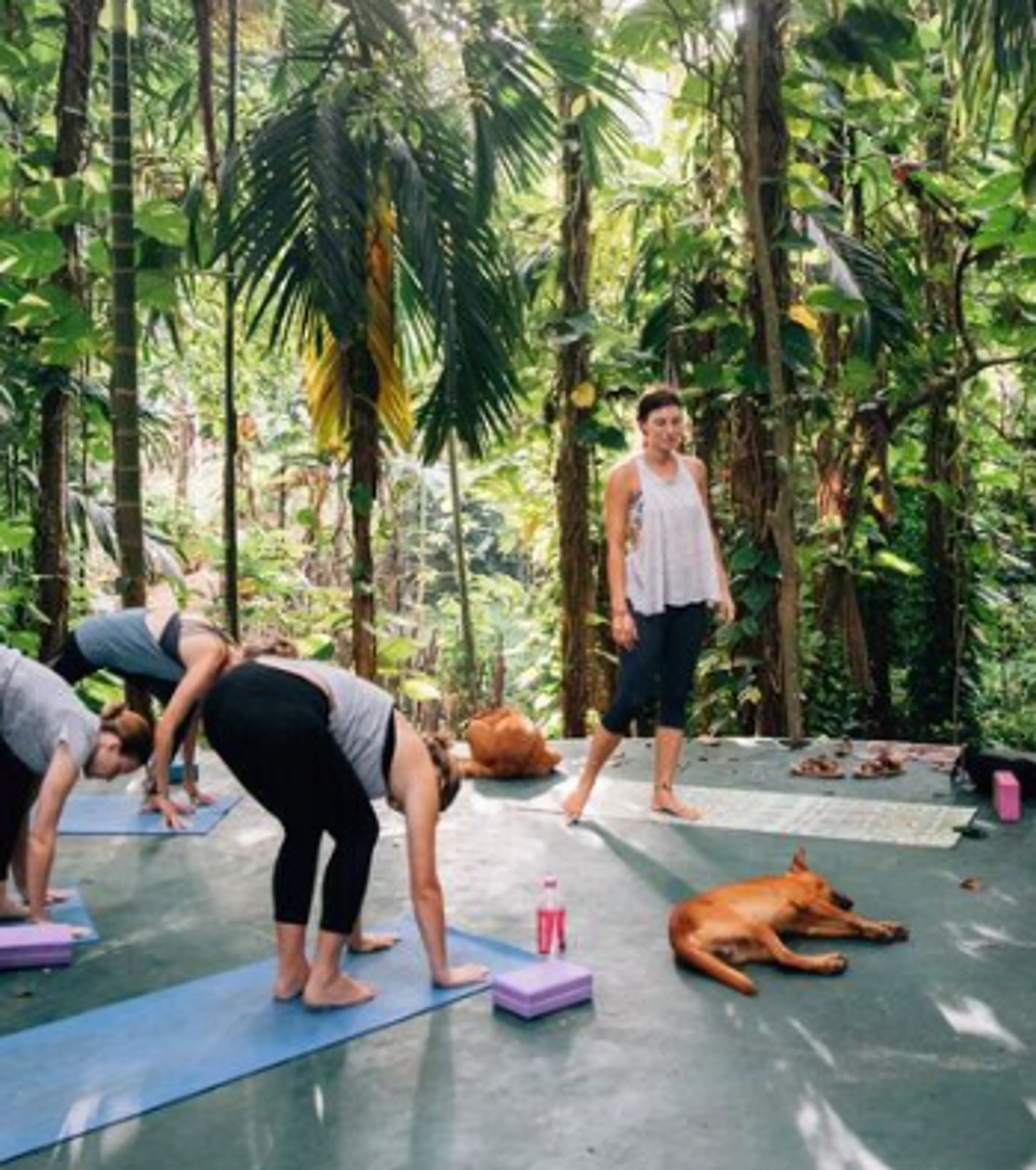 Yoga-Urlaub in Sri Lanka:  Lange Strände und wohltuende grüne Natur - 3