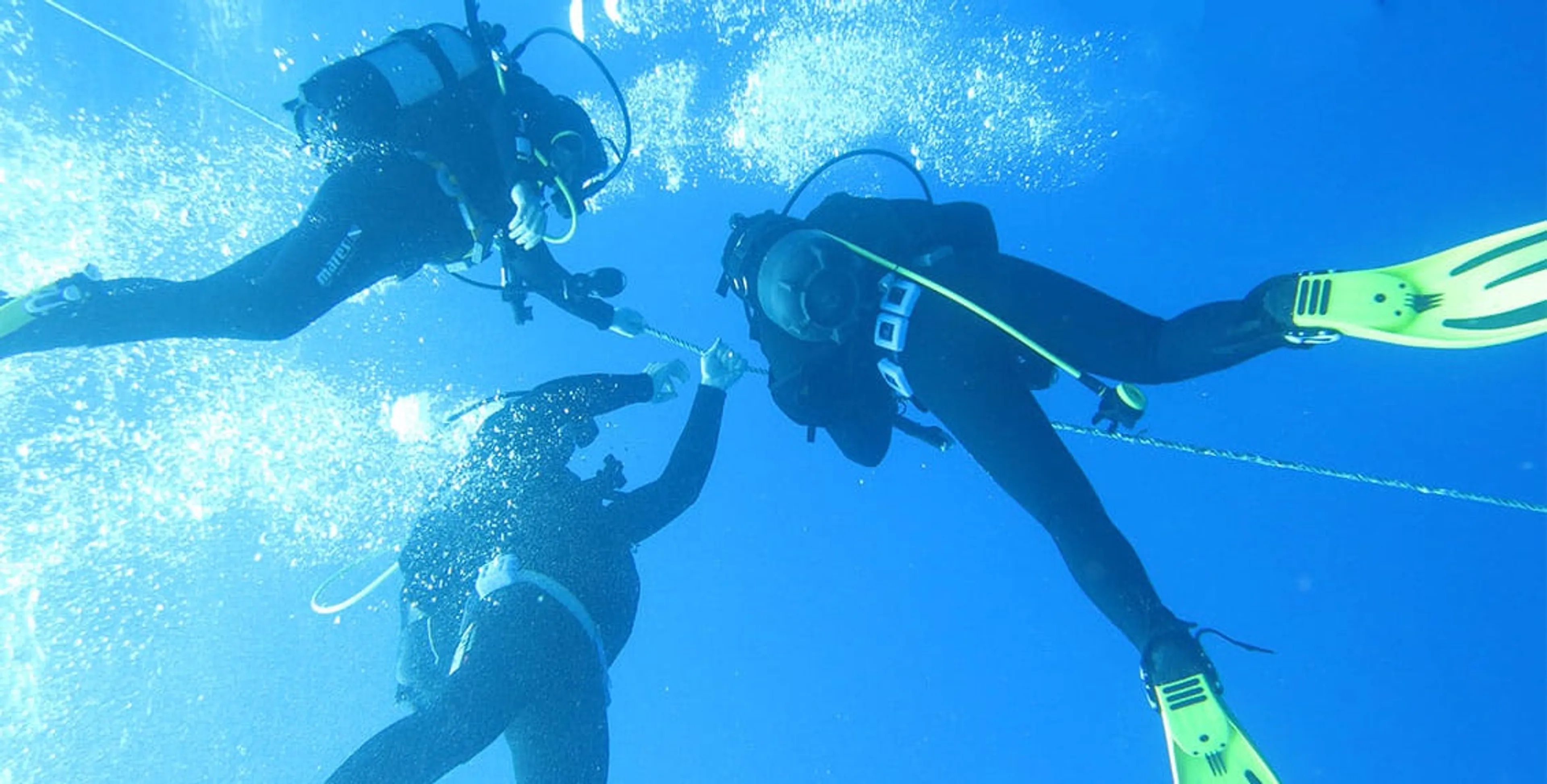 Tauchen an der Algarve: Erkunde die faszinierende Unterwasserwelt - 4