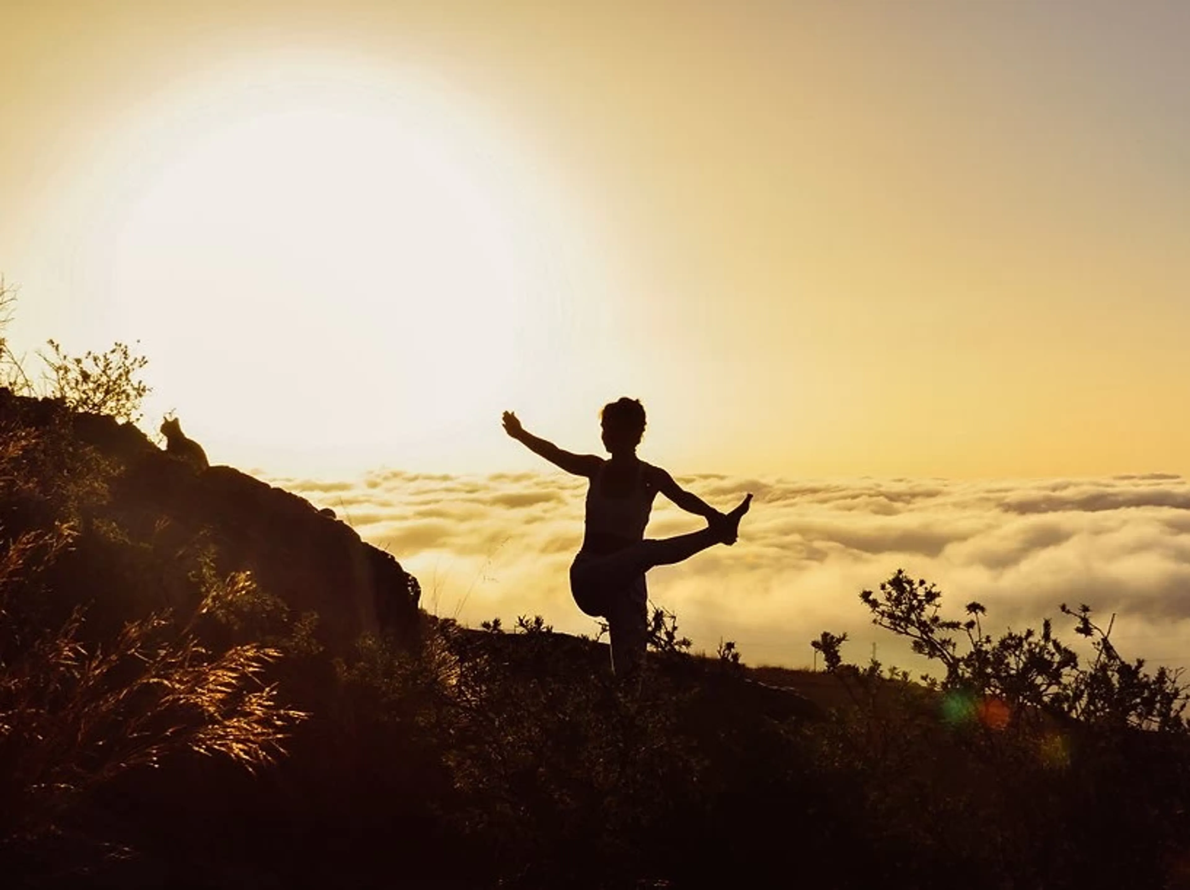 Aktiv zur inneren Ruhe – Privates Yoga & Fitness-Retreat in der Natur - 3