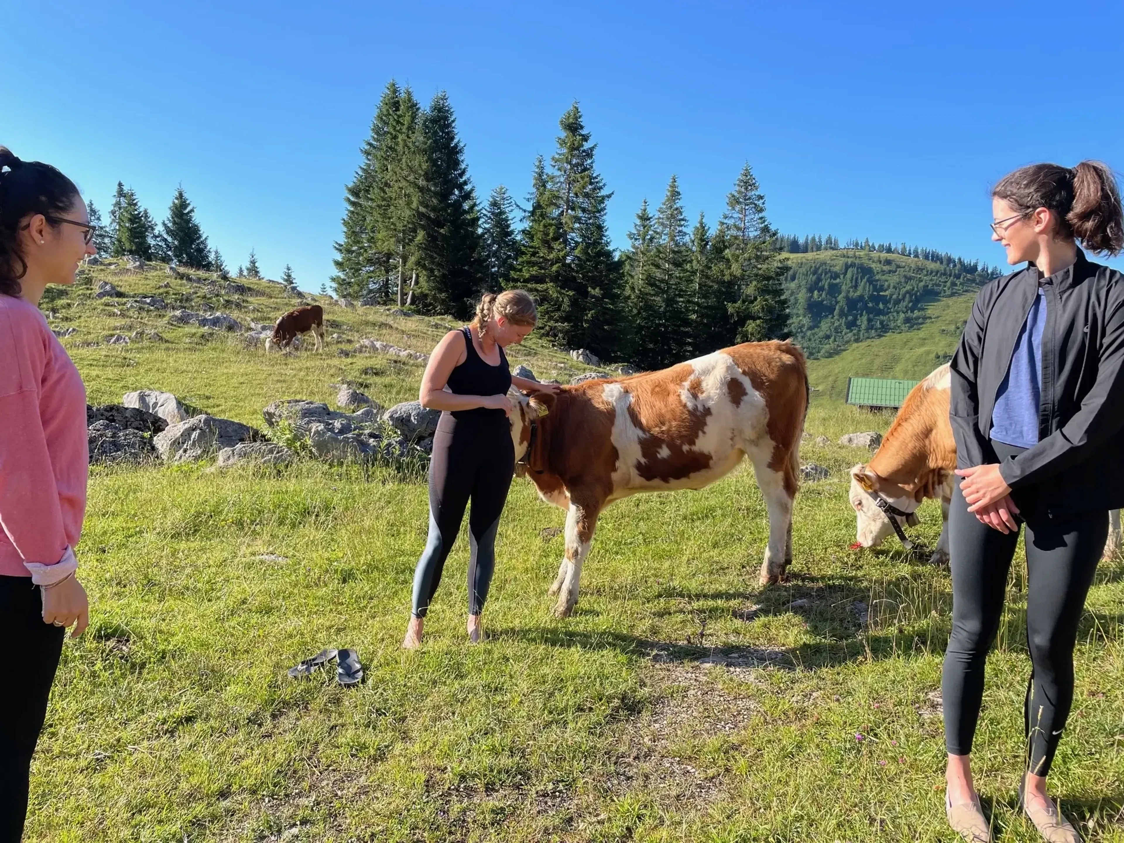 Yoga, Wandern und Breathwork auf 1300 Metern Höhe - 2