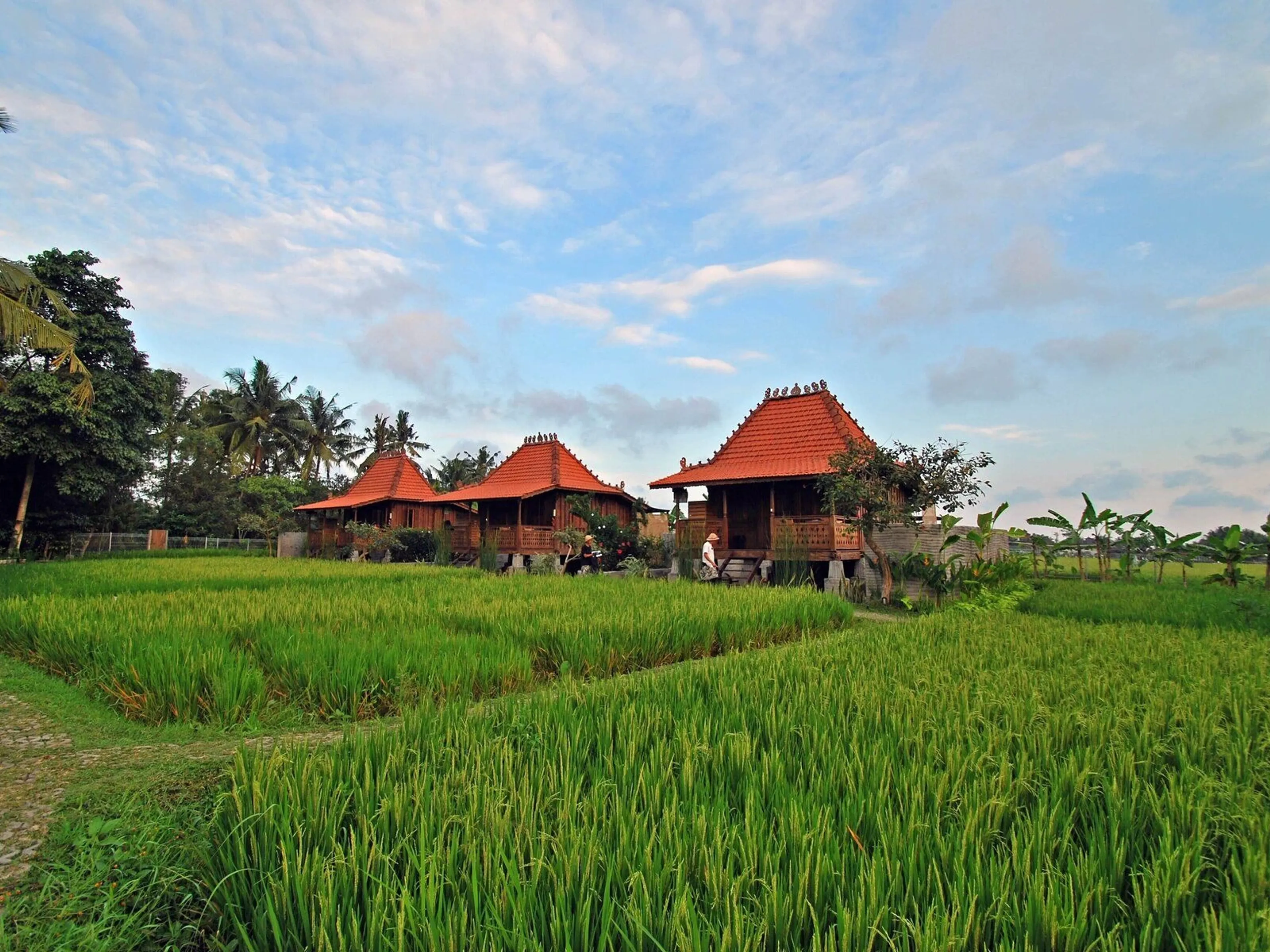 Yoga-Rundreise durch Balis Natur und Kultur - 2