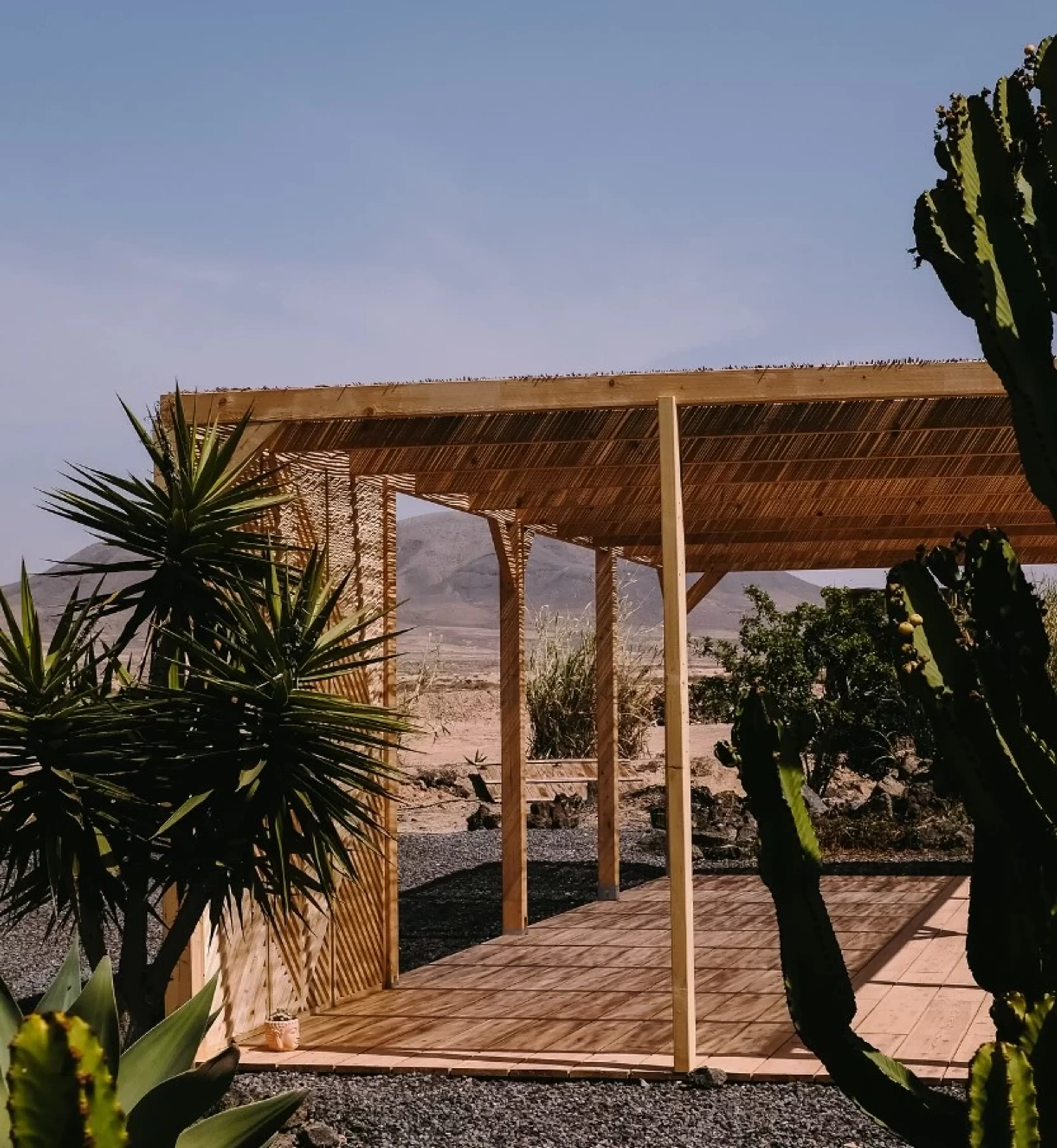 Dein Surf-Abenteuer: Vom ersten Pop-Up zum perfekten Turn - 5