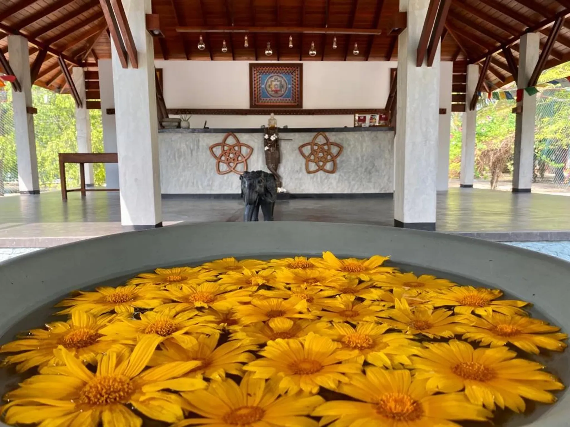 Ayurveda-Retreat: Deine Reise zu Gesundheit und innerer Balance - 2