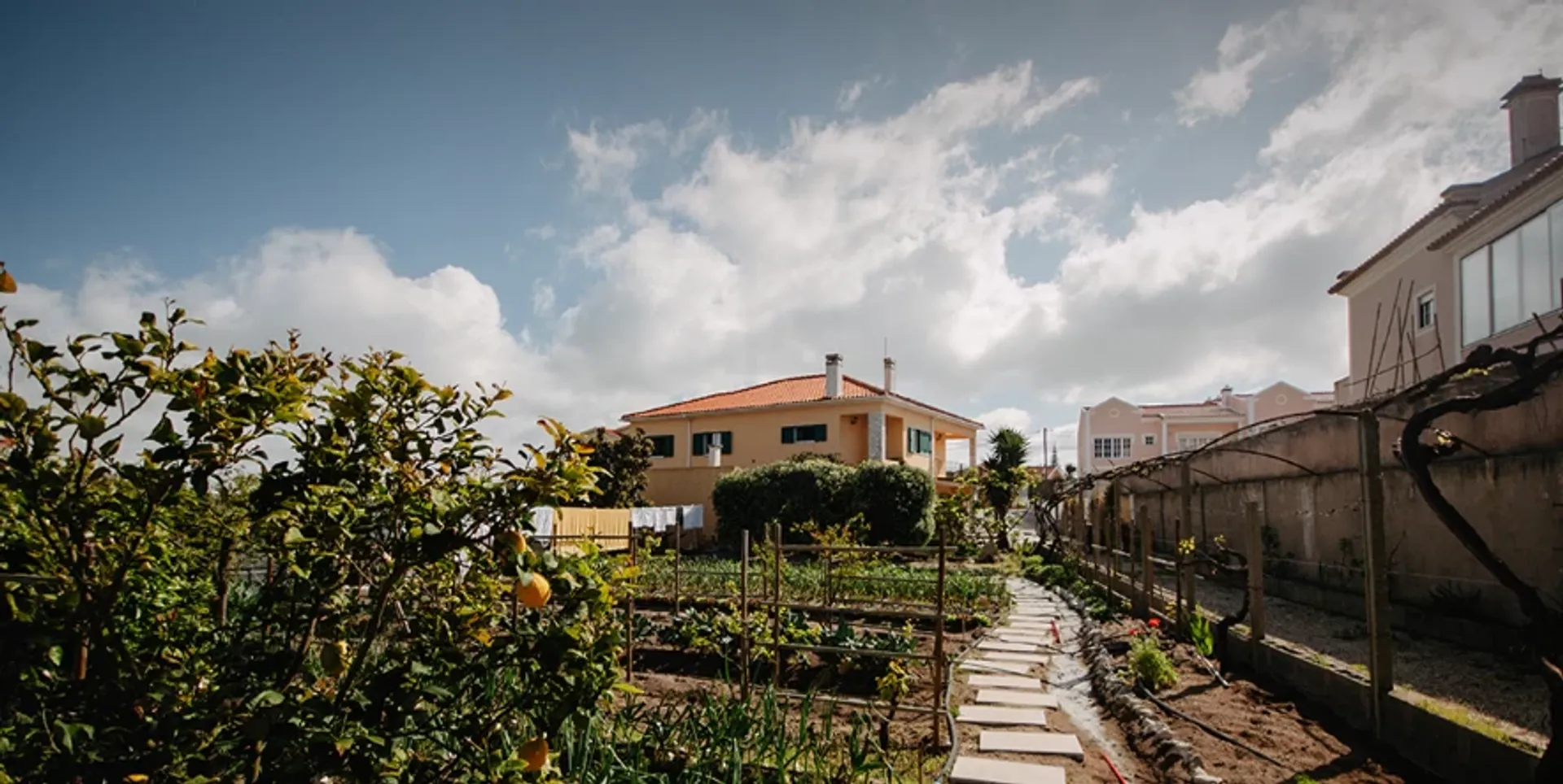 8340 Minuten Entspannung: Dein Yoga- und Meditations-Retreat am Meer - 3