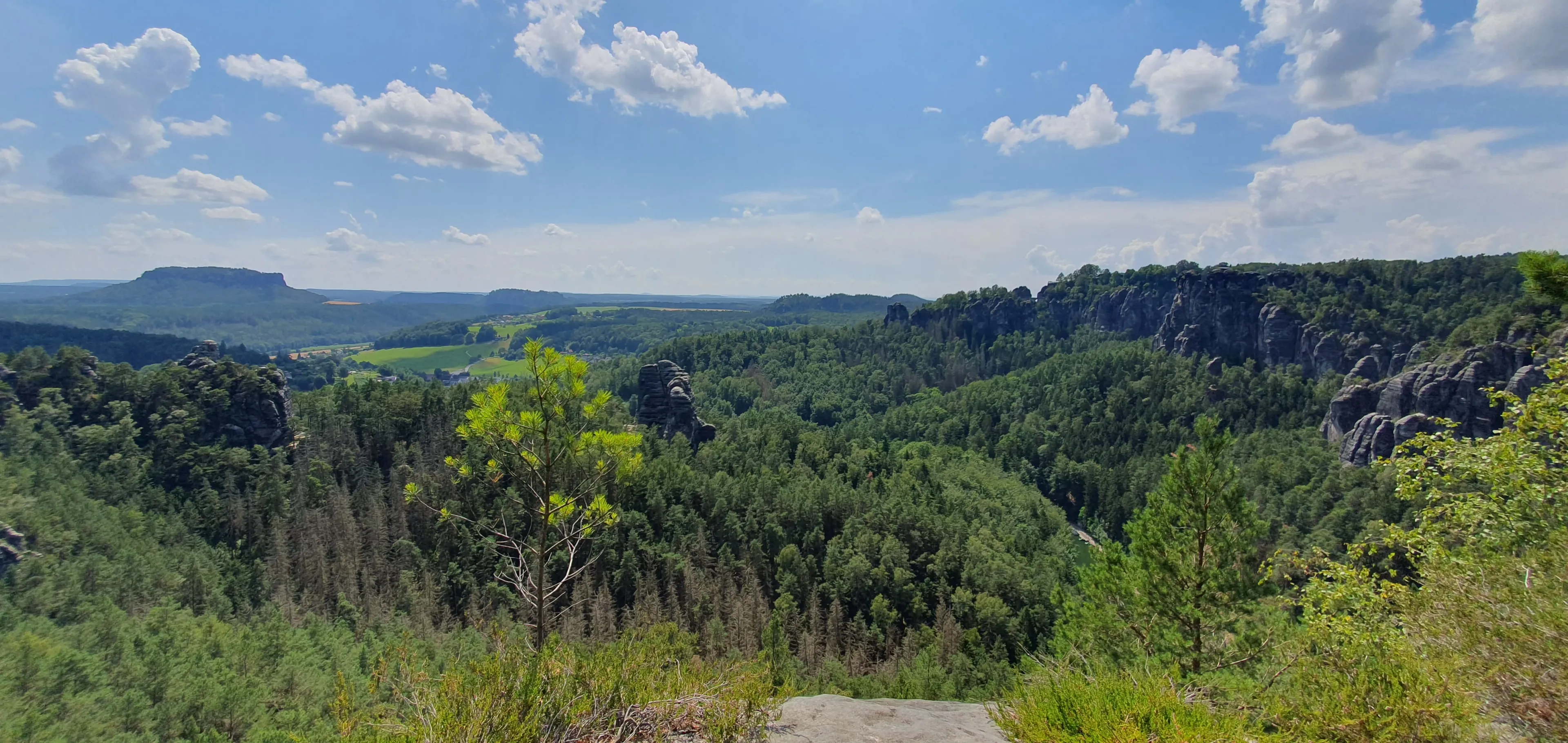 Yoga, Wandern und Rohkost-Detox in der Sächsischen Schweiz - 5