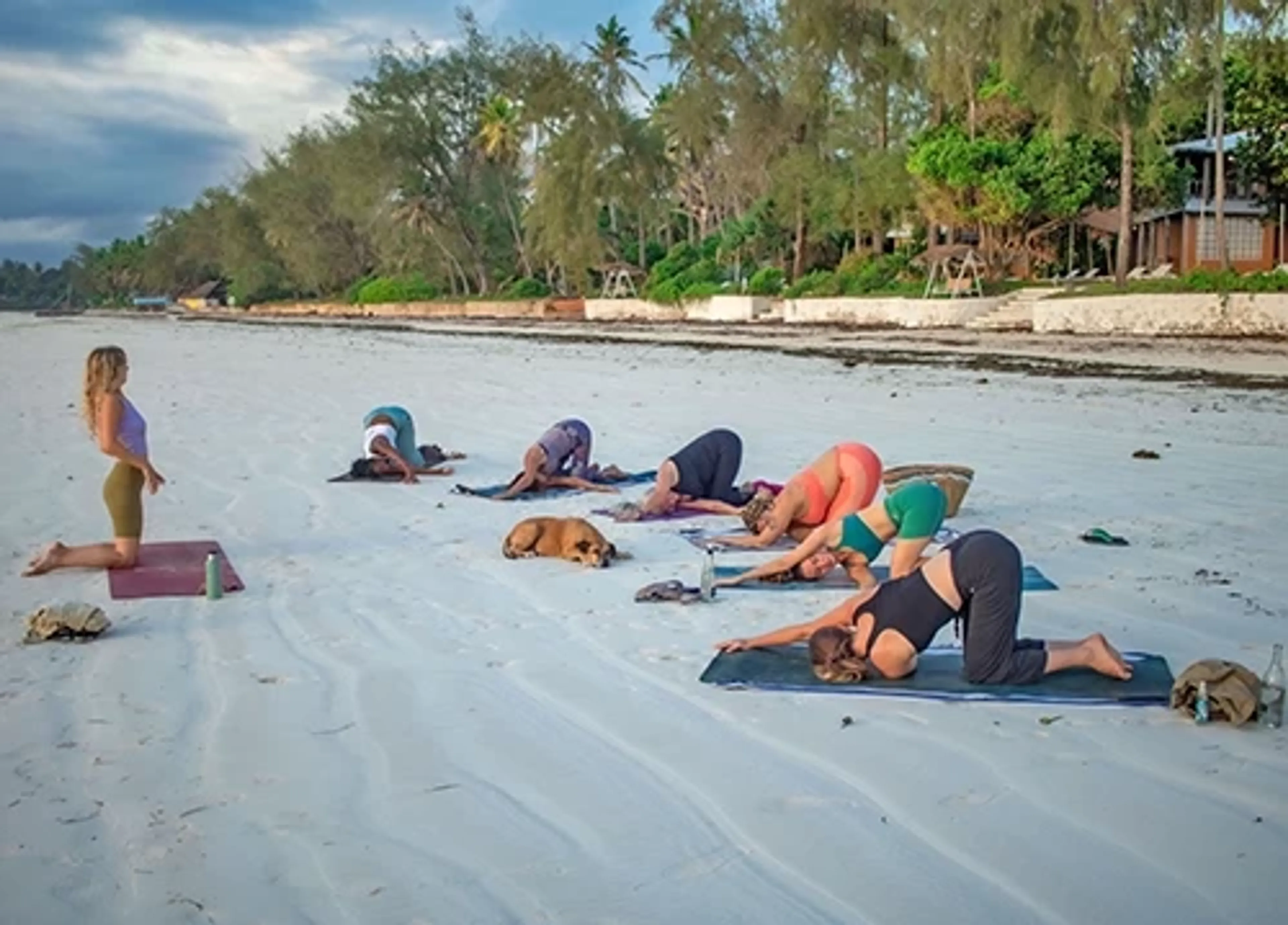 Yoga meets Safari: Dein Yoga-, Safari- und Strandurlaub in Kenia - 2