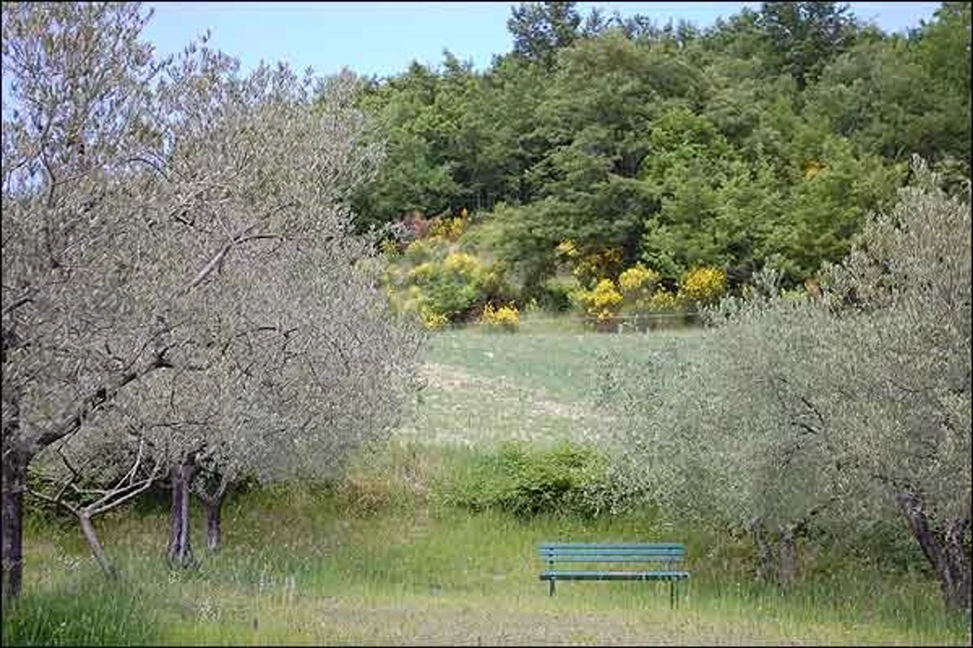 Stille Retreat in Assisi im Herzen Italiens - 2