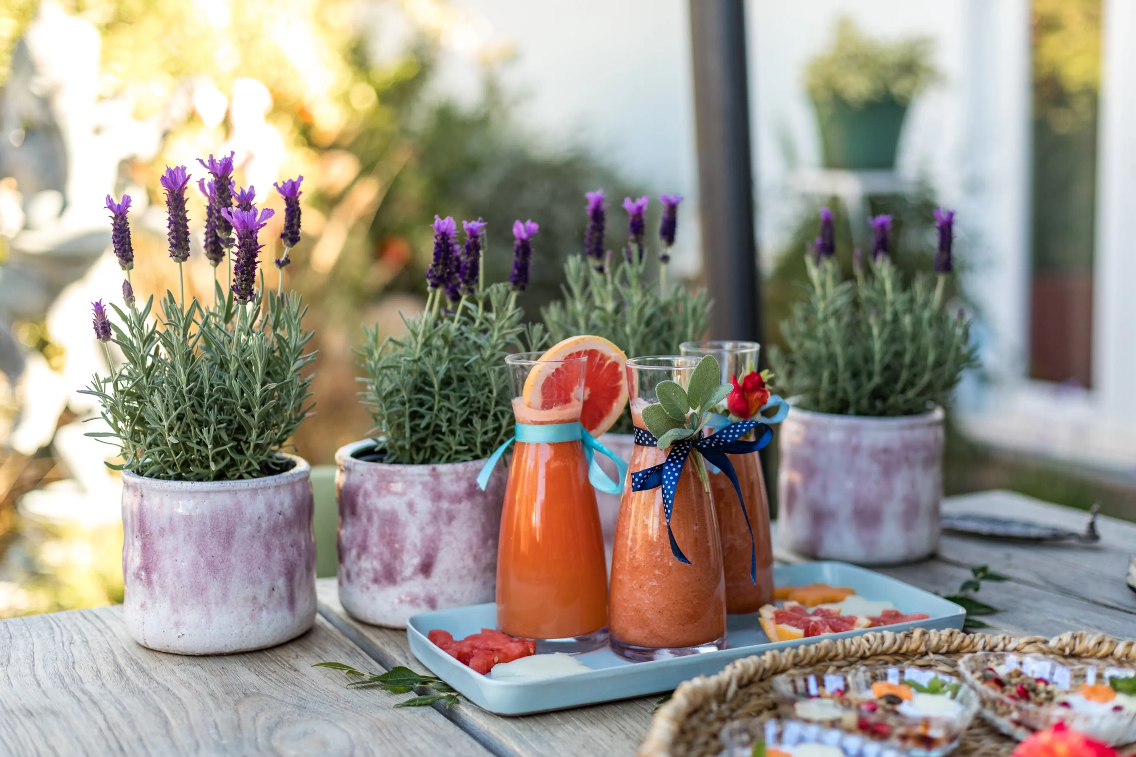 Connect & Recharge Retreat - Aufladen an der Algarve - 5