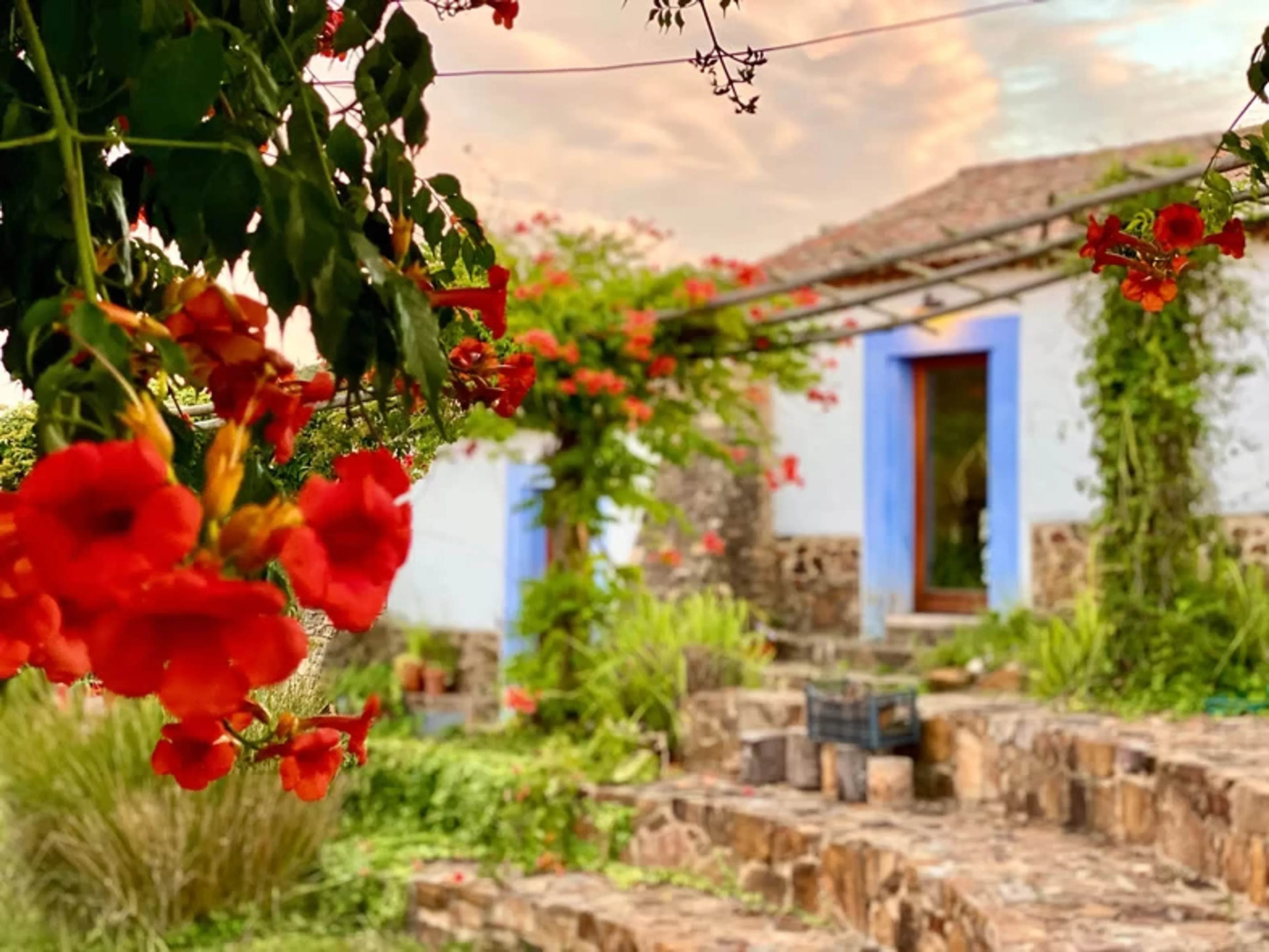 Yoga und Feminine Embodiment in der magischen Natur Portugals - 2