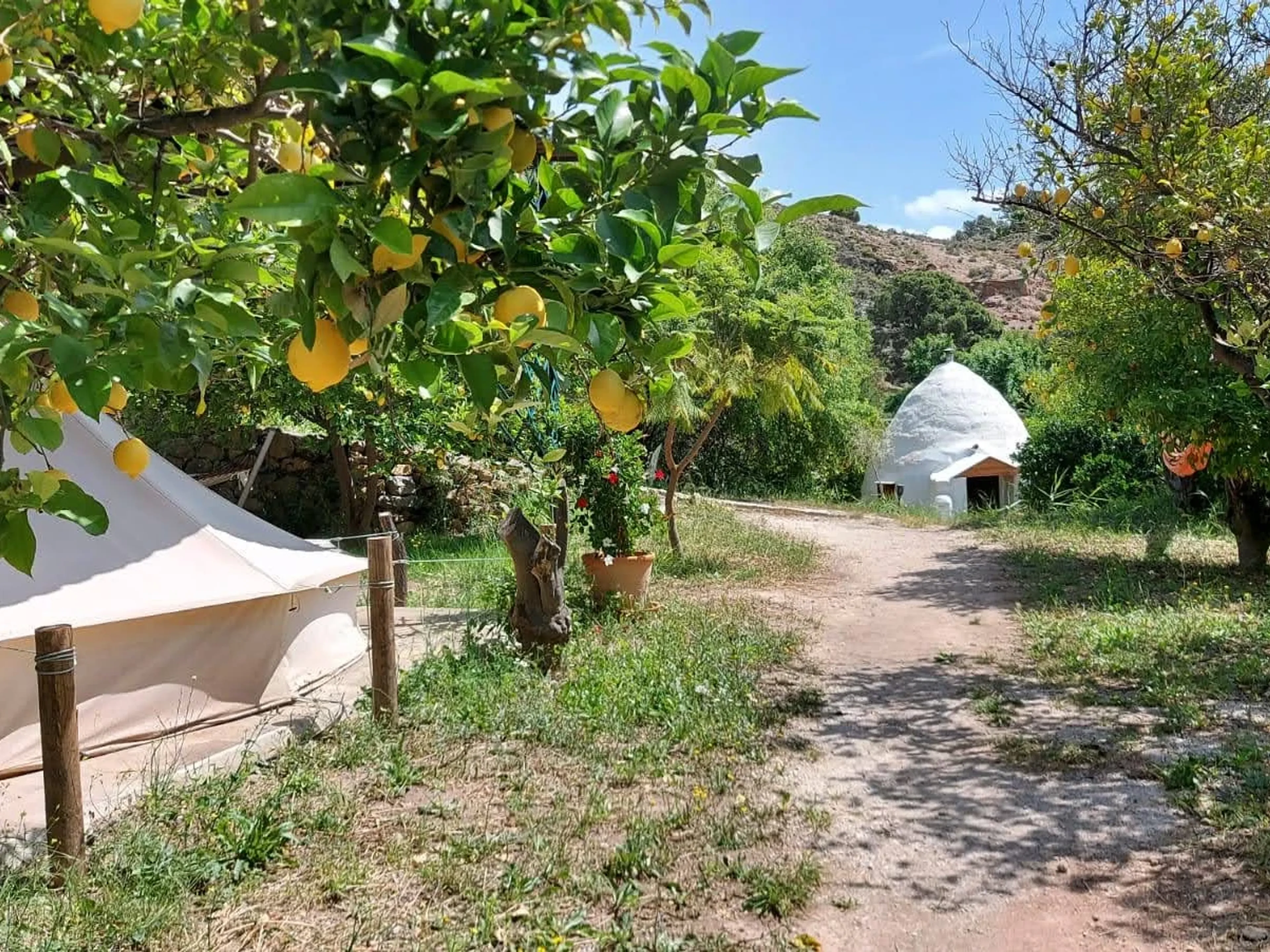 Flow with the Moon: Finde die perfekte Harmonie zwischen Yin und Yang - 4