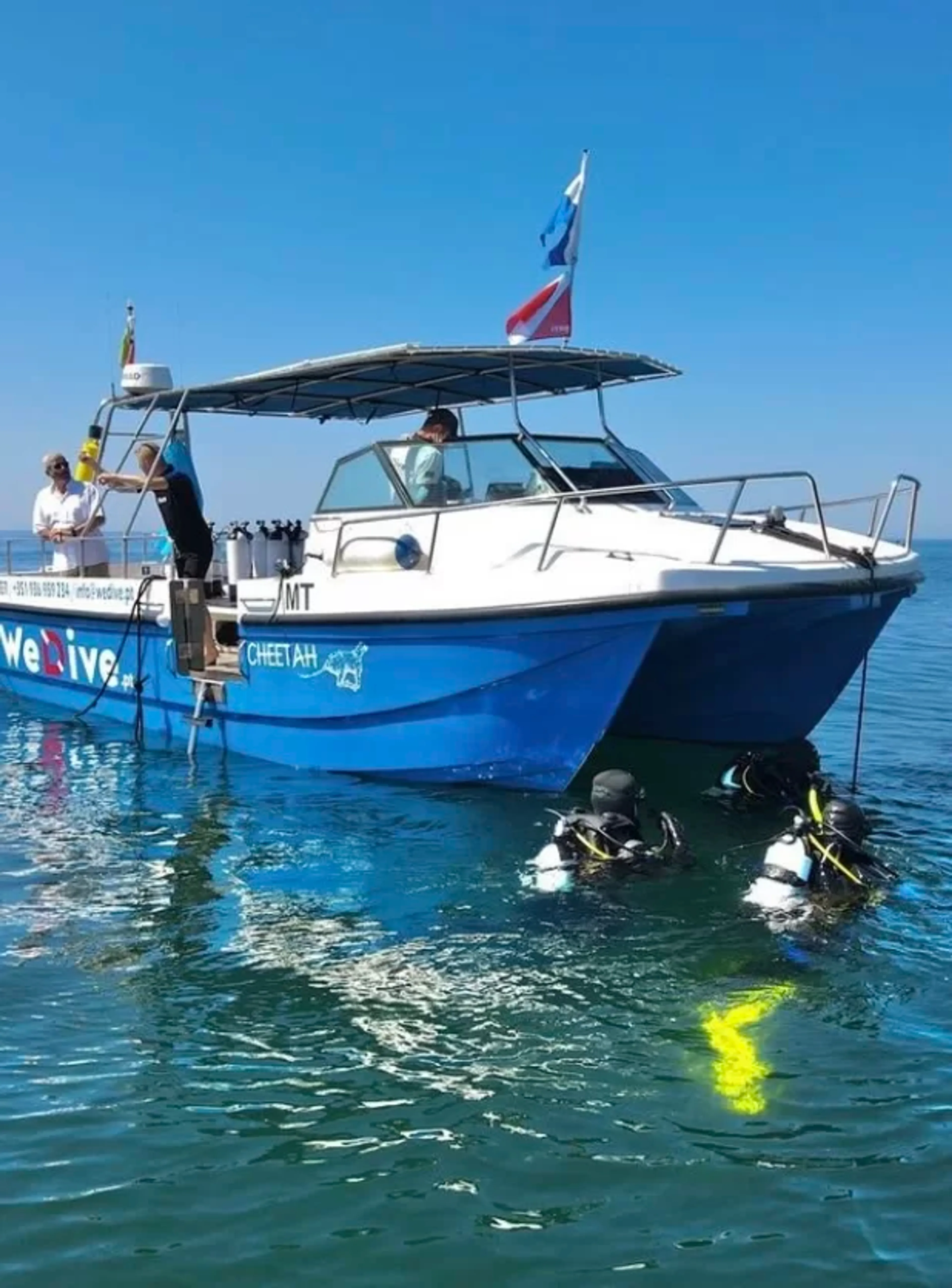 Tauchen an der Algarve: Erkunde die faszinierende Unterwasserwelt - 3