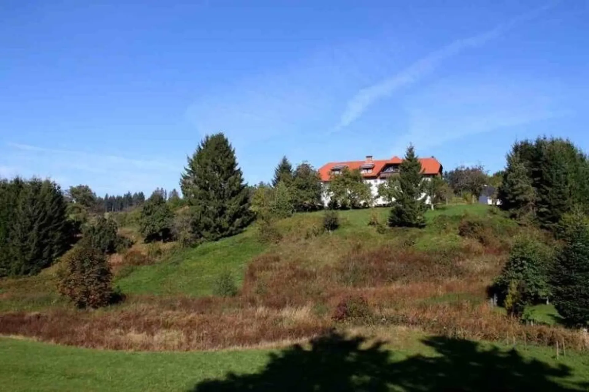 Meditation, Qi Gong und Stille erleben im Schwarzwald - 2