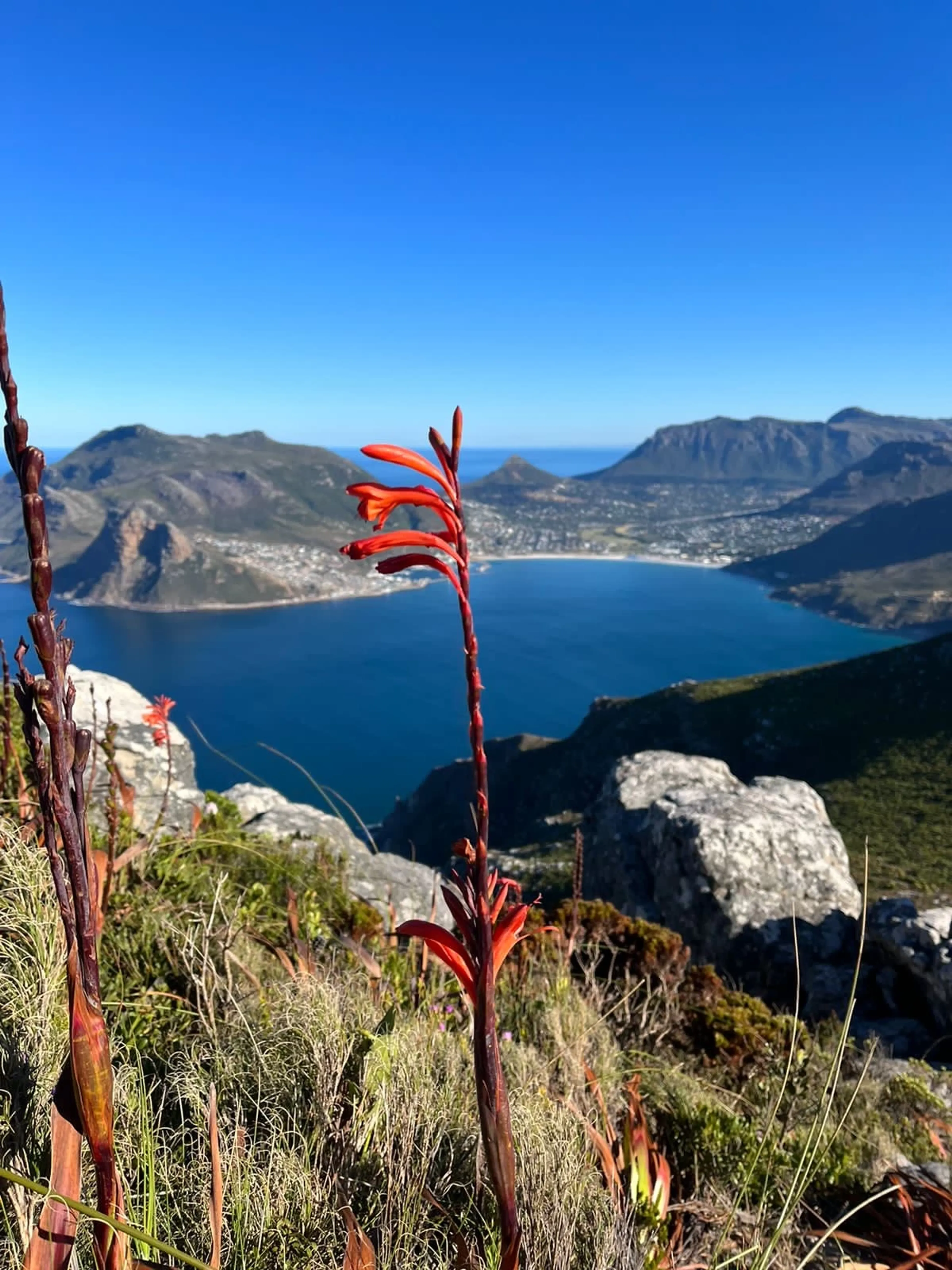 Südafrika Yoga Rundreise - Erlebe ein Abenteuer! - 4
