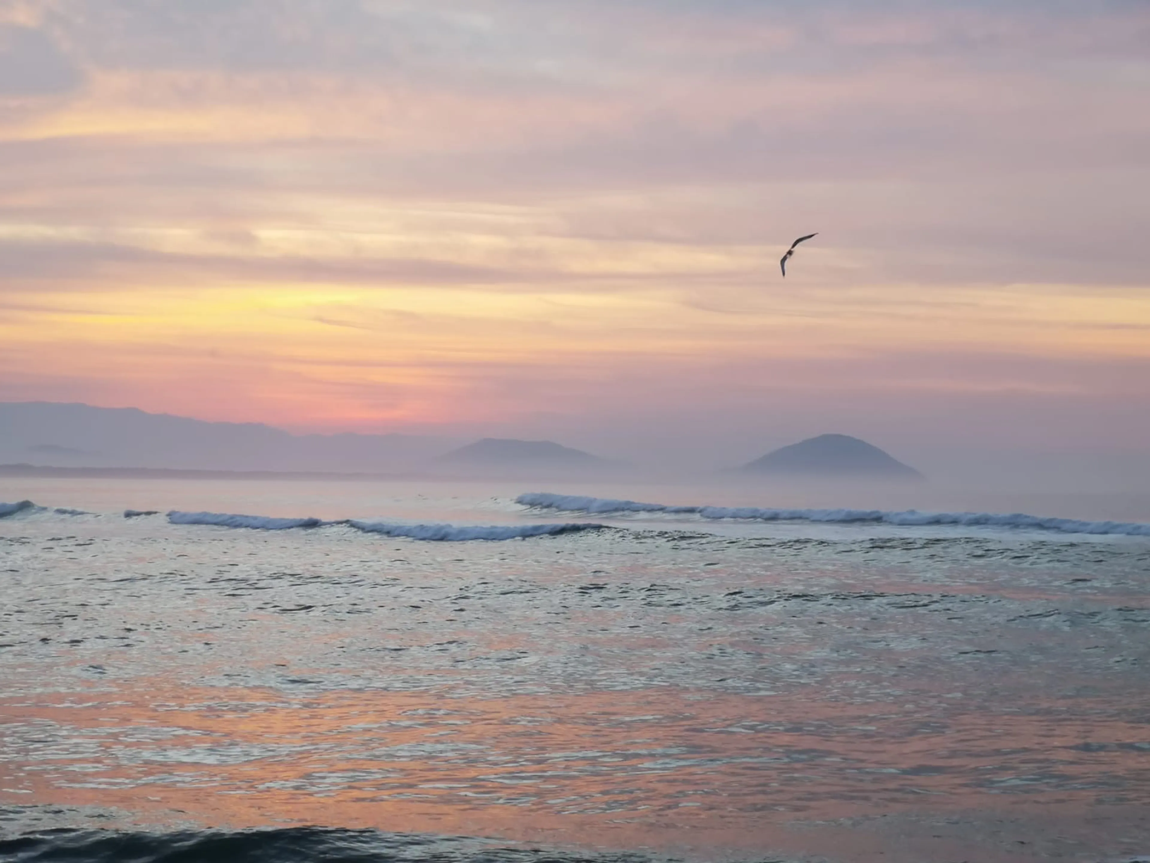 Surfen, Yoga & Kunst: Erlebe Kreativität und Balance in Ericeira - 3