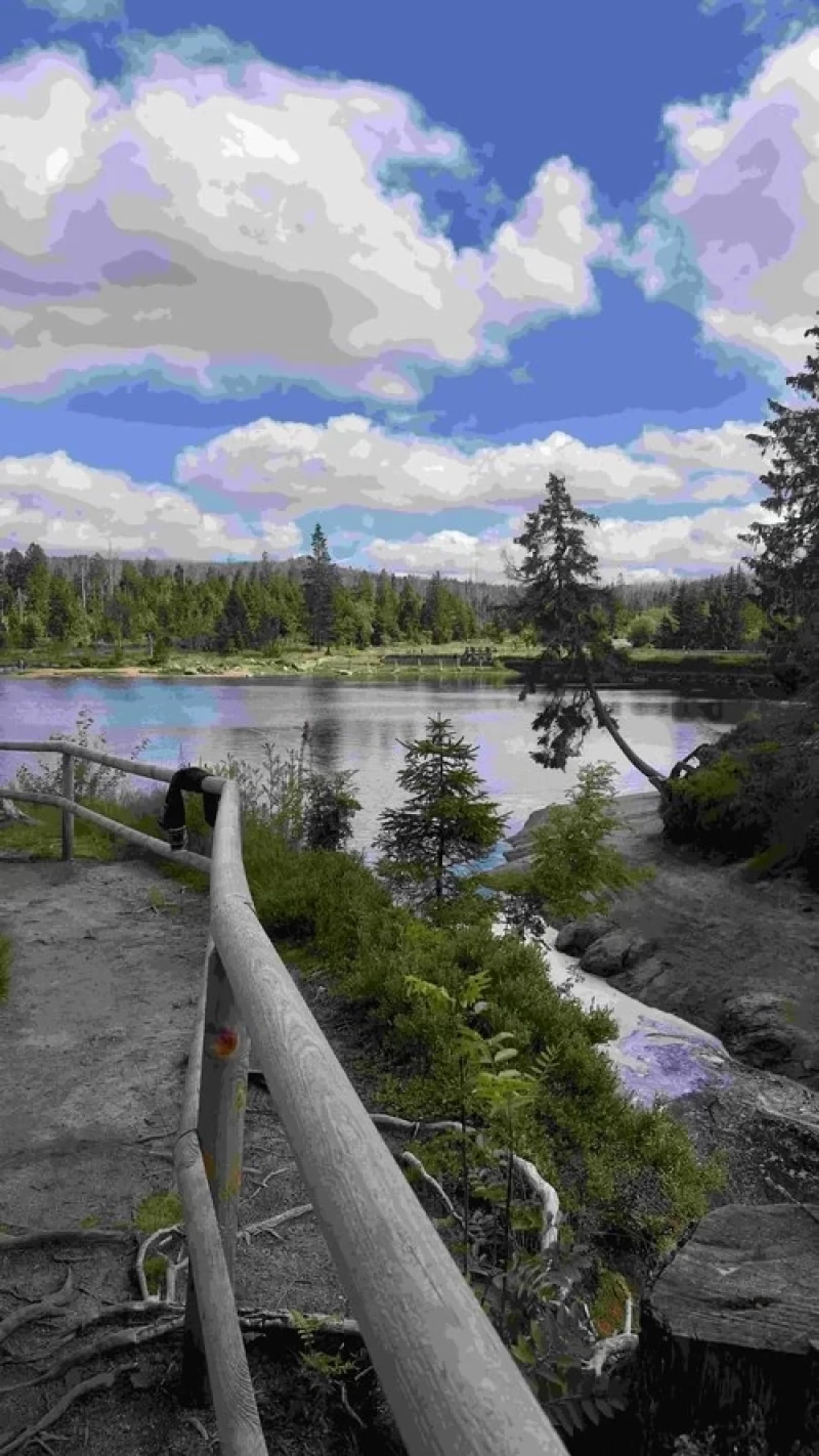 The Essence of Ikigai - Yin Yoga Retreat für Frauen im Harz - 4