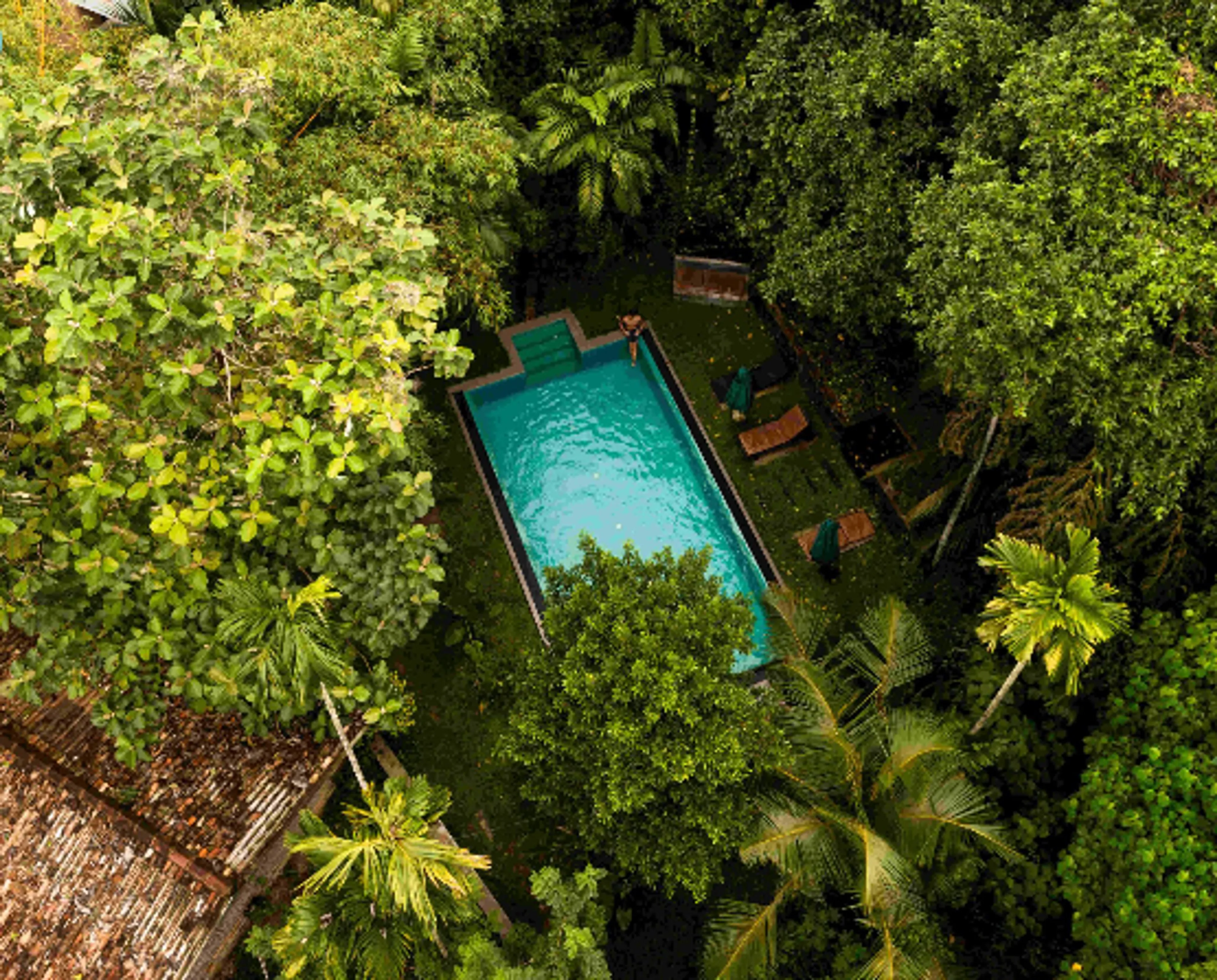 Yoga-Urlaub in Sri Lanka:  Lange Strände und wohltuende grüne Natur - 4