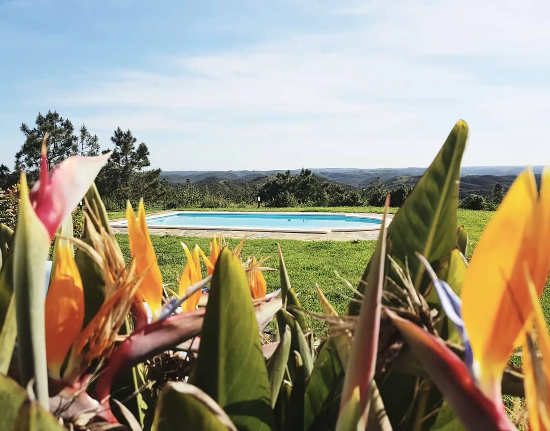 Yoga-Camp an der Algarve: Gemeinschaft, Natur & unvergessliche Momente - 5