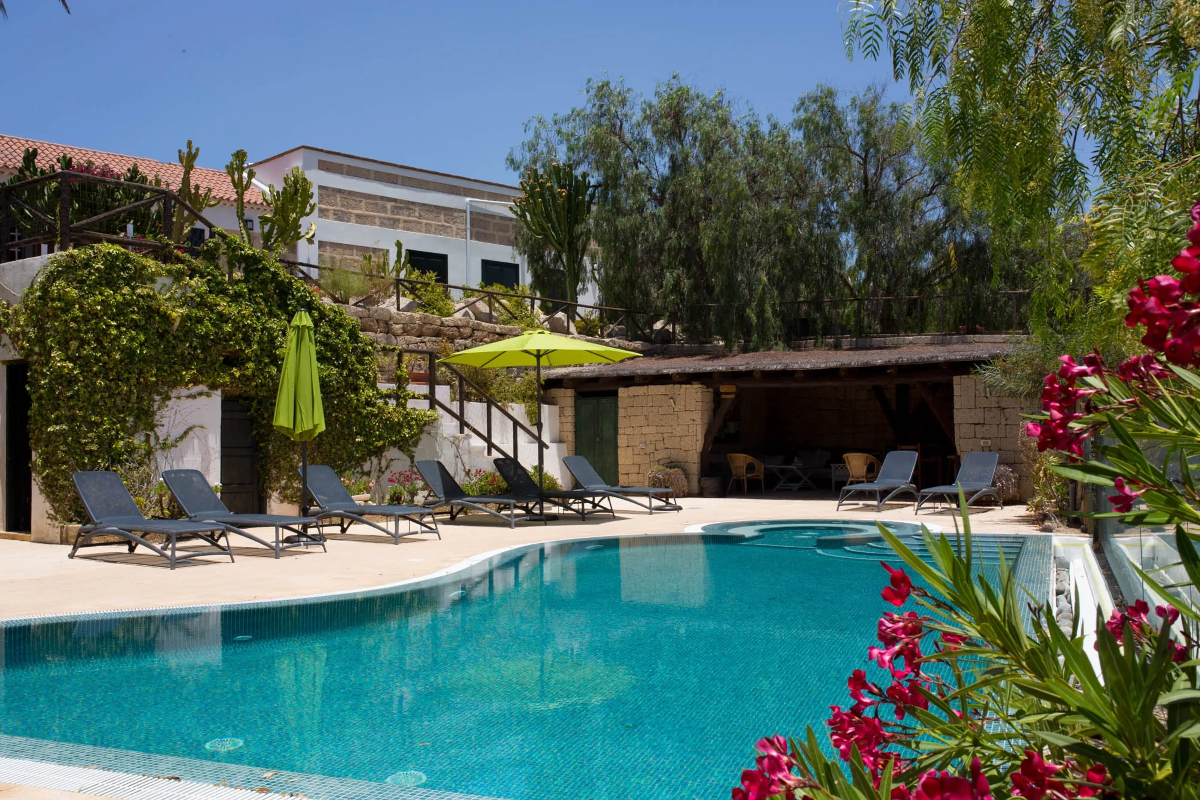 Soul Reset auf Teneriffa: Transformation mit Yoga und Psychologie - 3