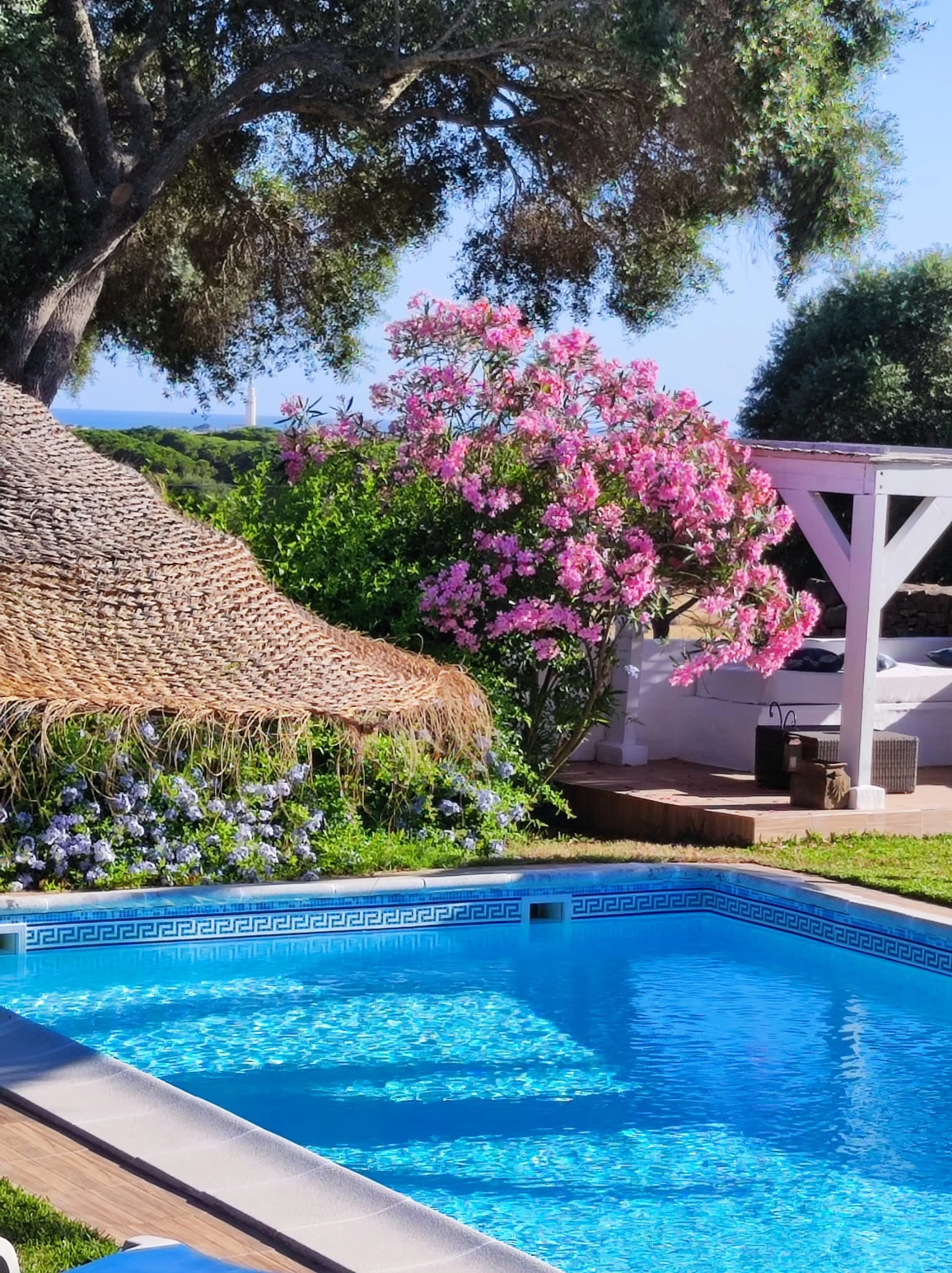 eFoil Camp in Andalusien - Tolle Tage, die du nie vergessen wirst - 5