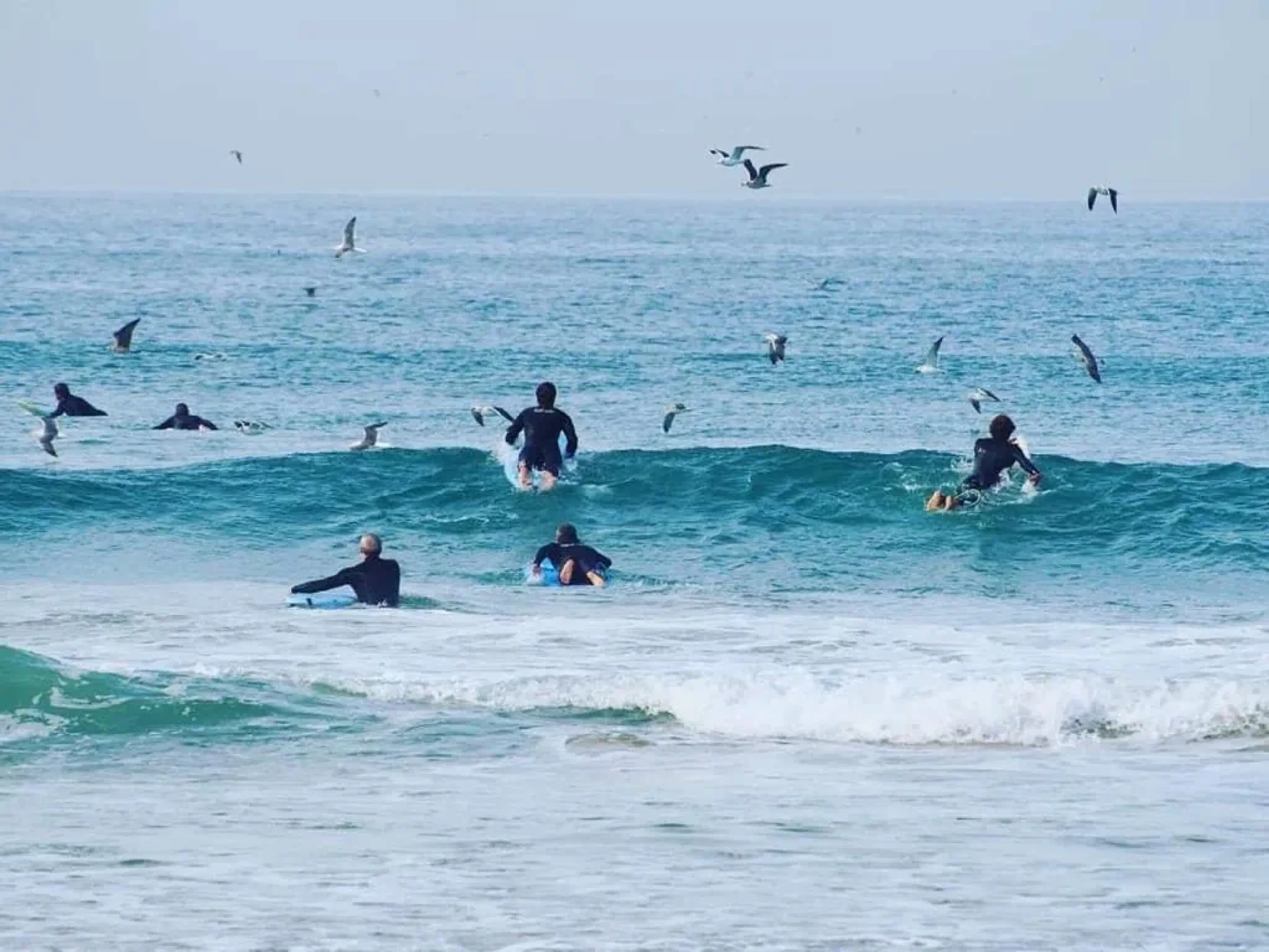 Erlebe dein Surf-Abenteuer an der Costa da Caparica - 2