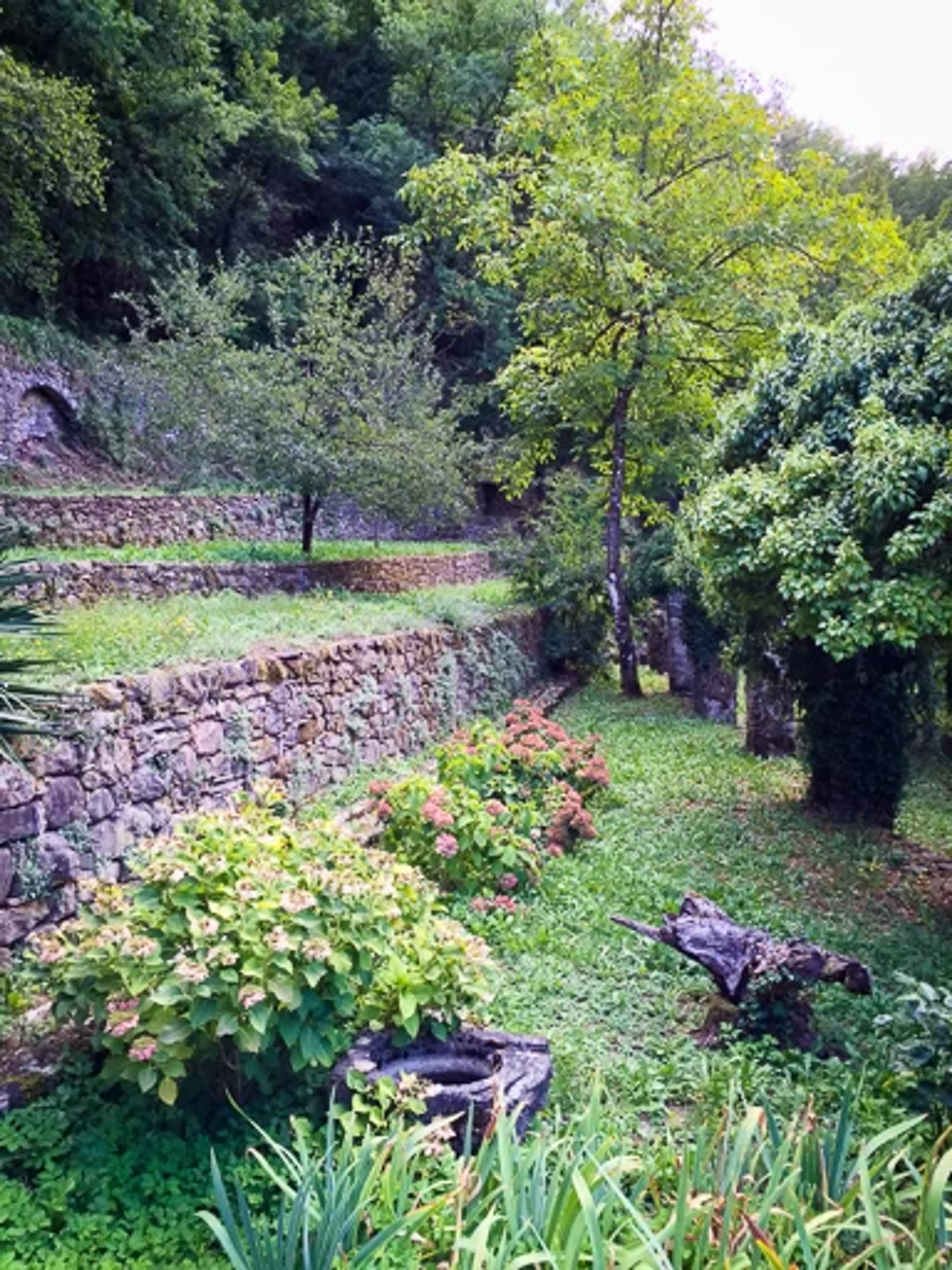 YOGA RETREAT – Sommer Sonne TOSKANA - Ankommen im Körper – Rückkehr zu - 3