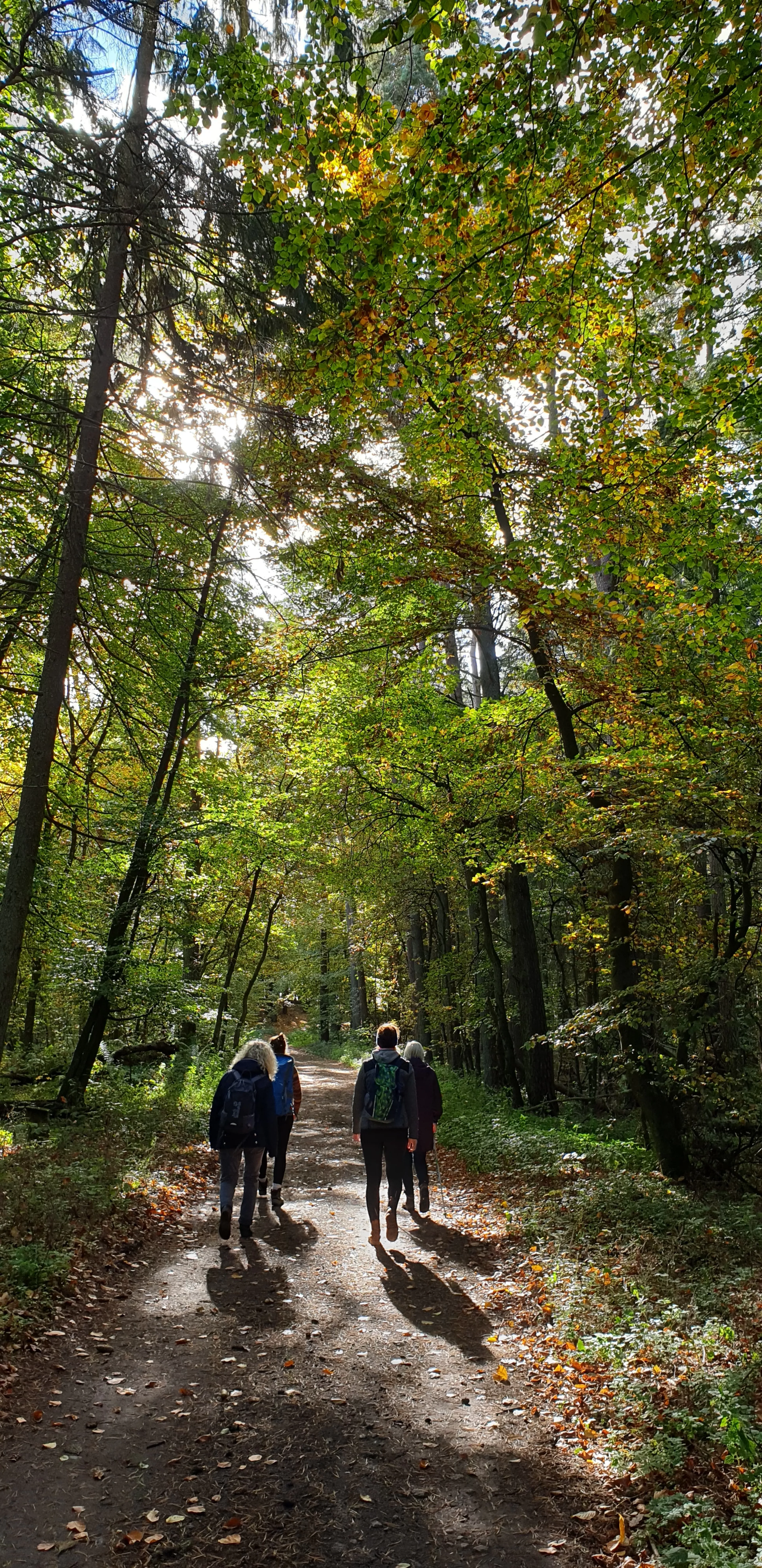 Yogawoche für Bauch und Seele im Müritz-Nationalpark - 4