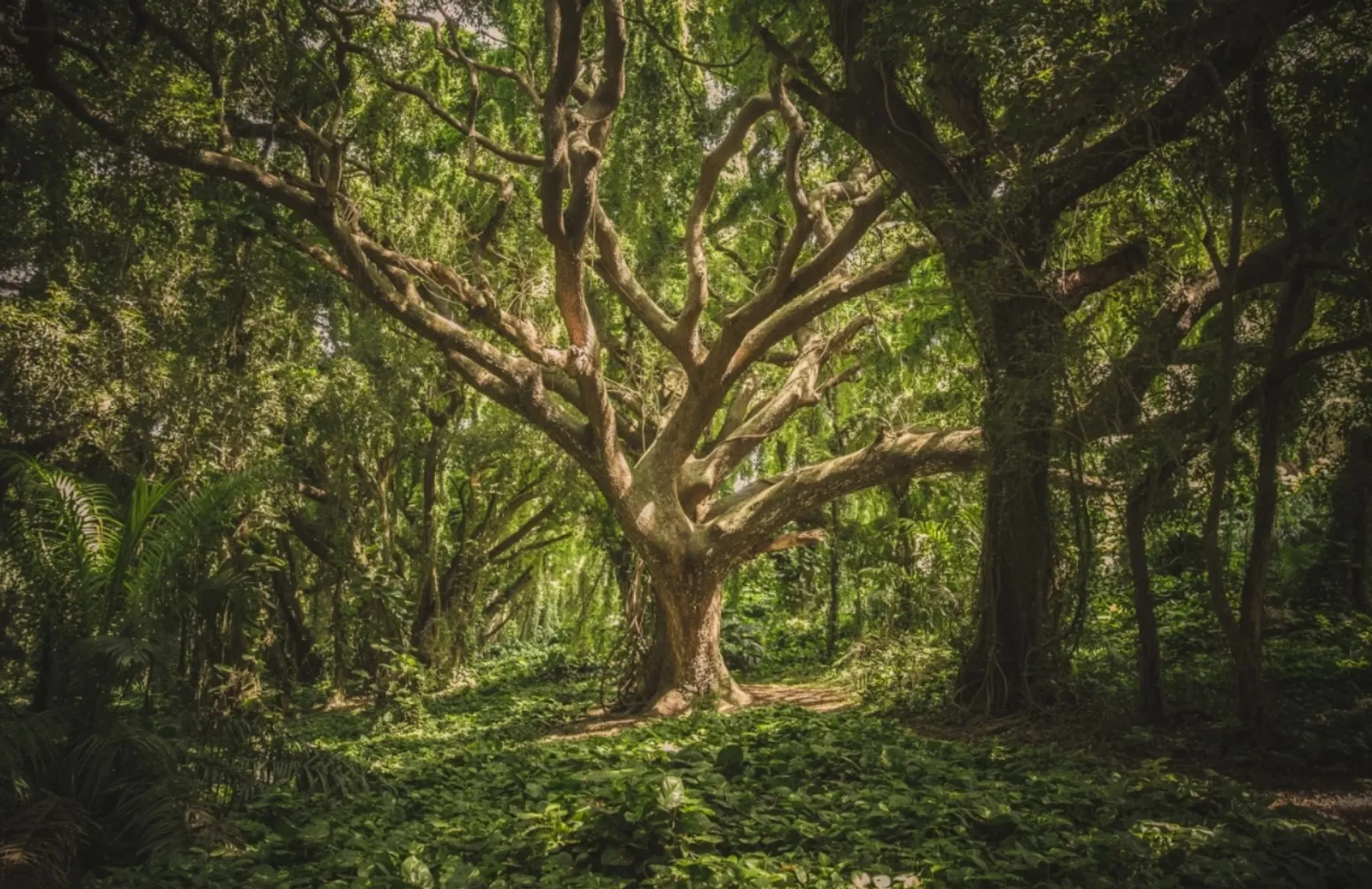 Männlichkeit neu leben – Ein Retreat für Herz, Mut und Präsenz - 2