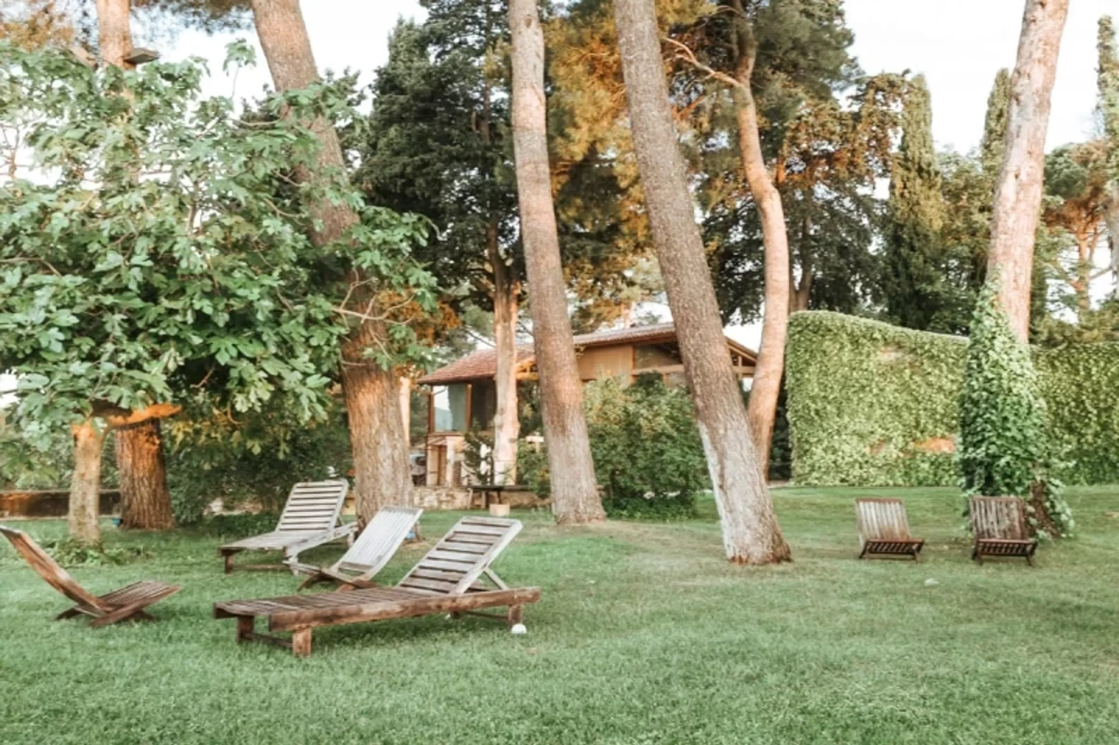 Reset Retreat: Frischer Start für Körper und Geist - 4