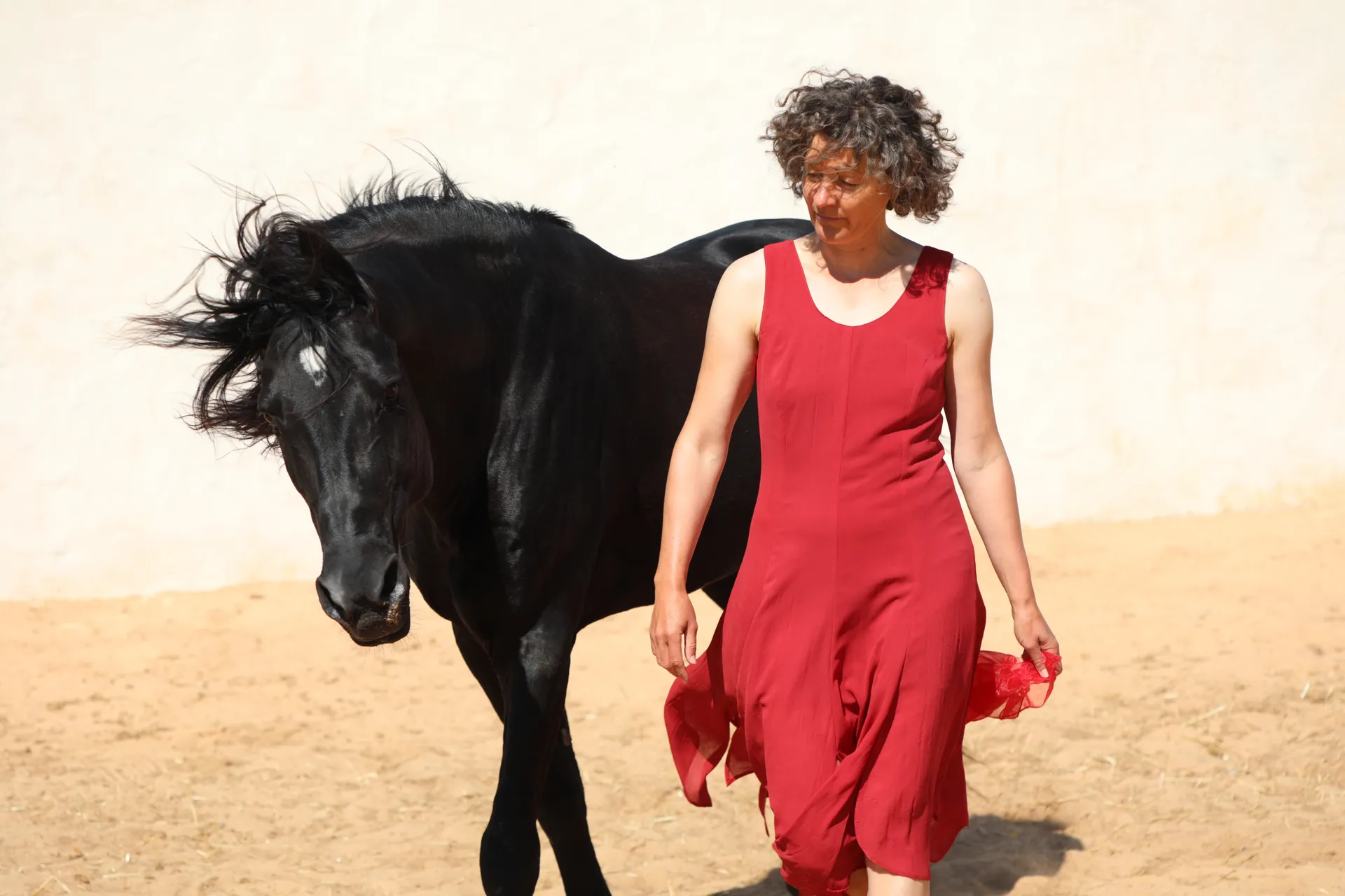 Persönlichkeitsentwicklung auf Djerba mit Pferden und Tango - 2