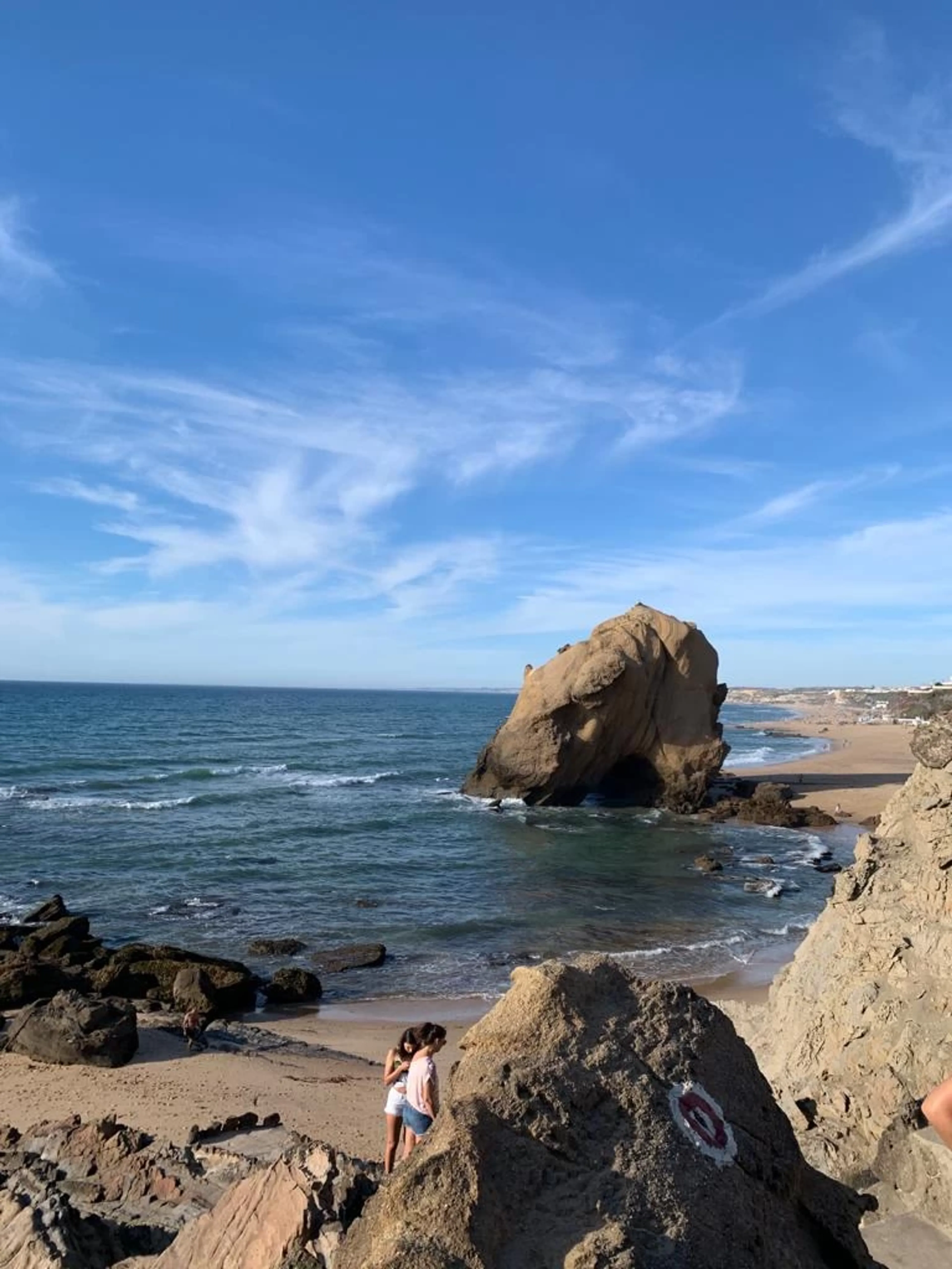 Ride the Wave – Dein Surf-Abenteuer in Santa Cruz! - 5