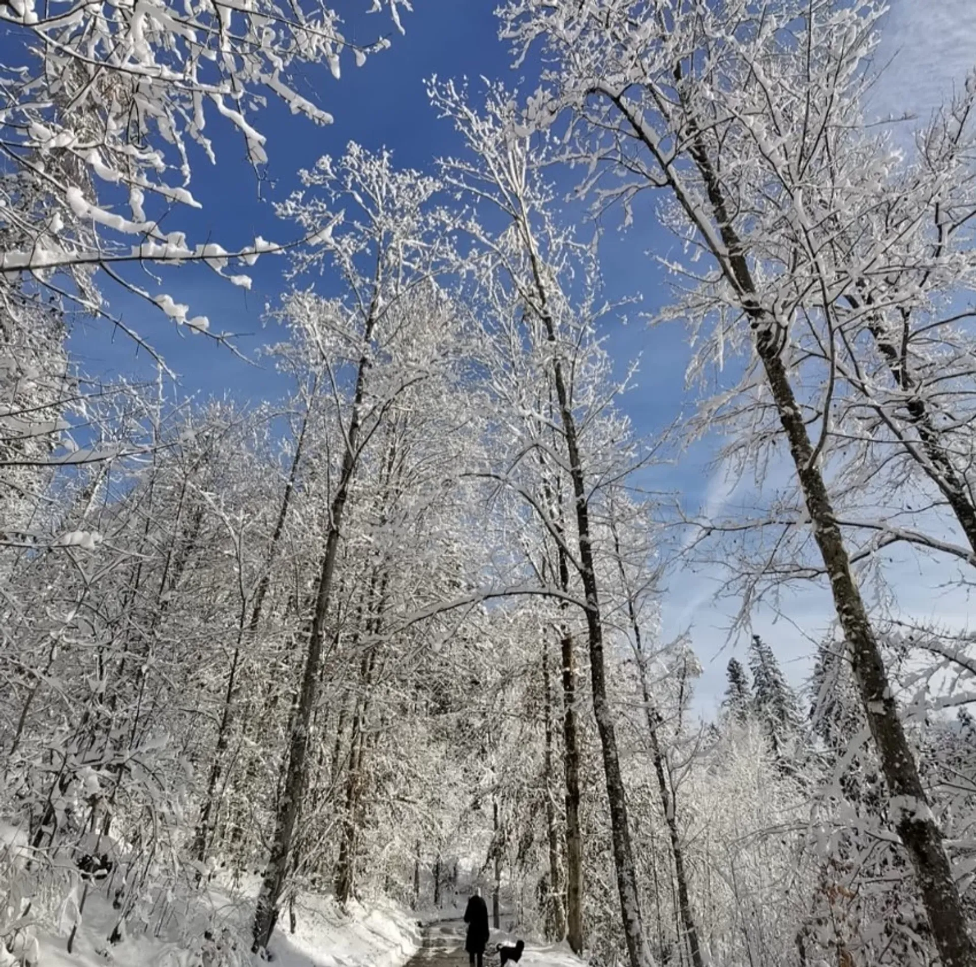 Yoga- und Entspannungs-Retreat in den Tiroler Alpen - 3