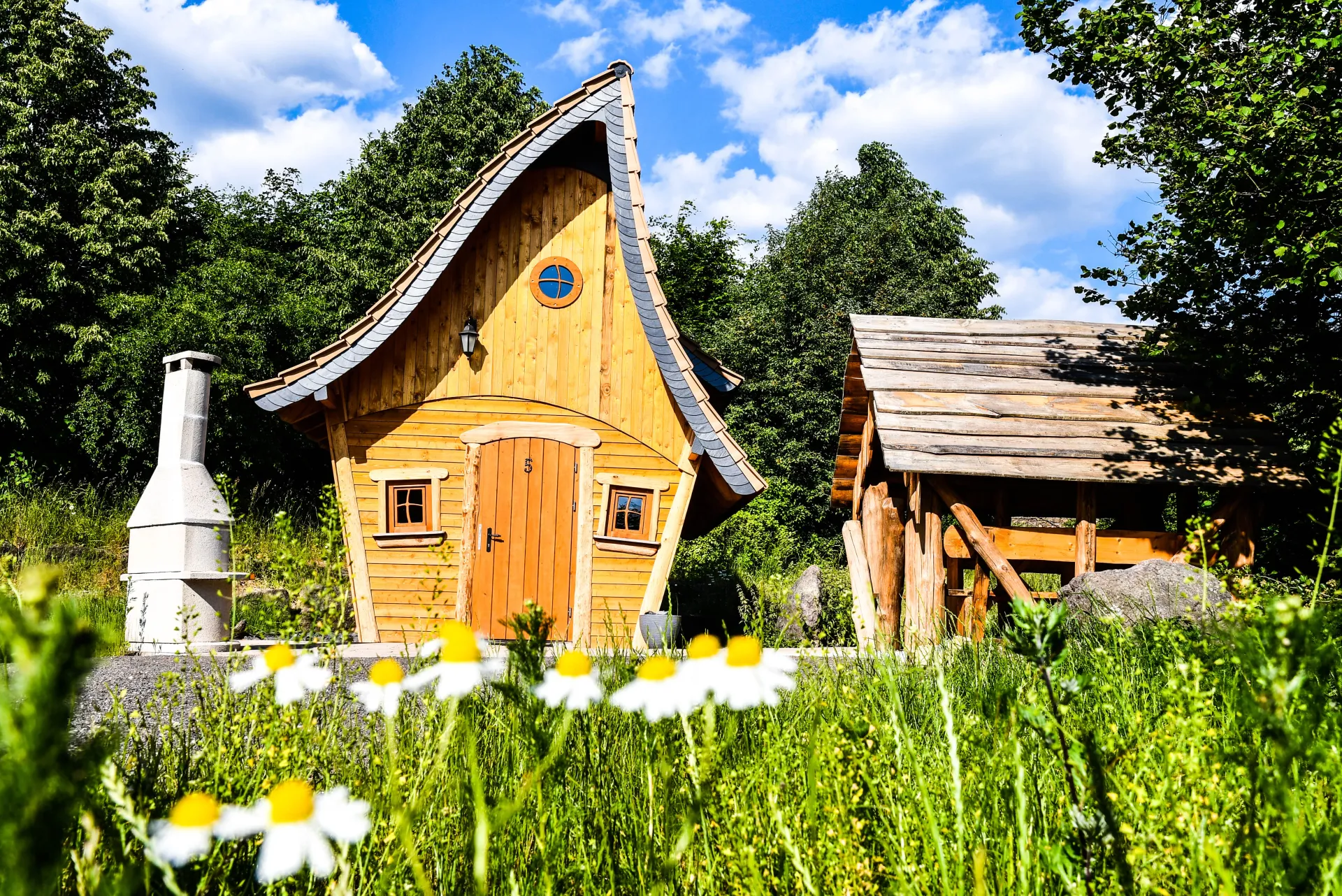 Yoga Retreat im Thüringer Wald: Verwurzlung, Rückverbindung & Klarheit - 4