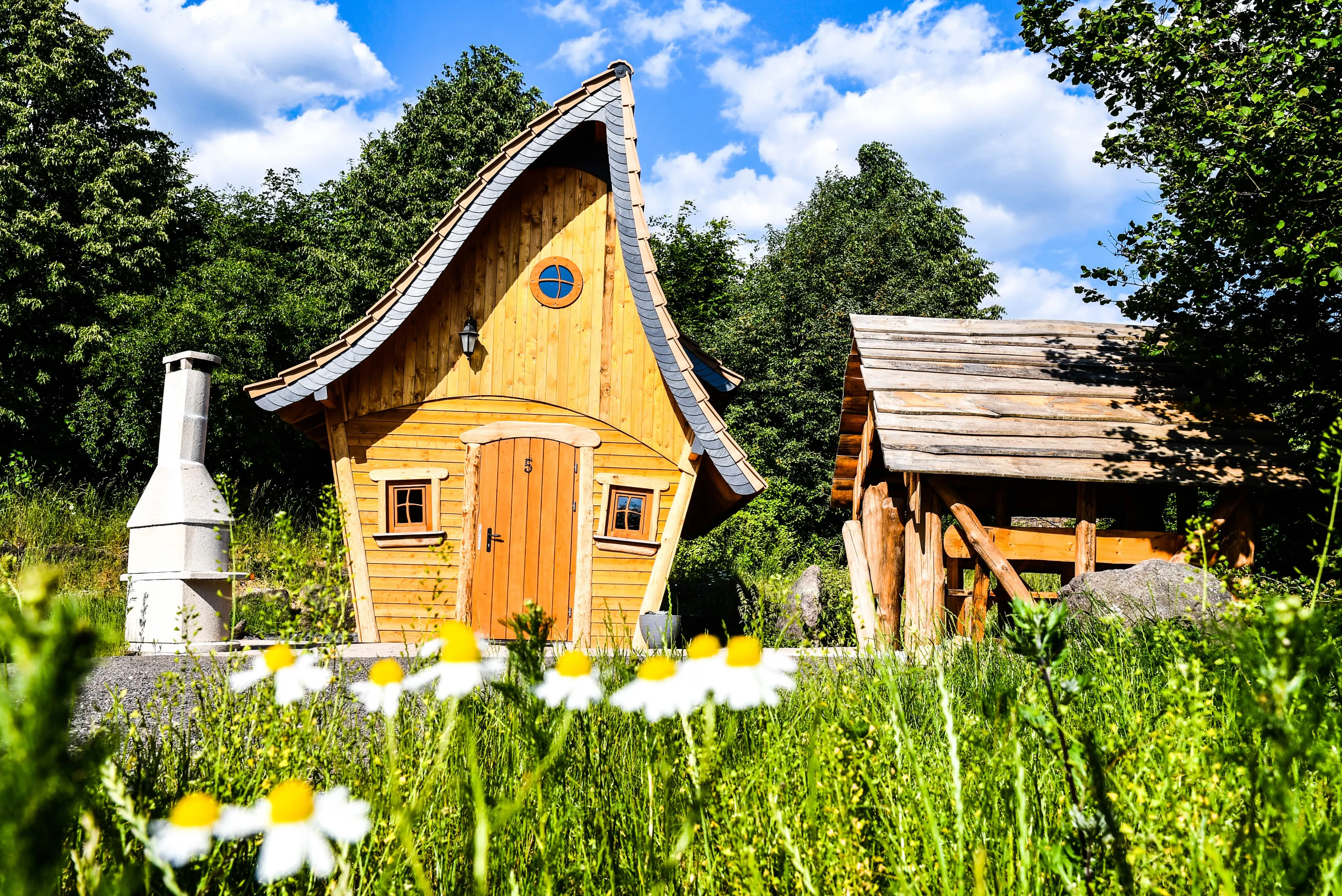 Yoga Retreat im Thüringer Wald: Verwurzlung, Rückverbindung & Klarheit - 4