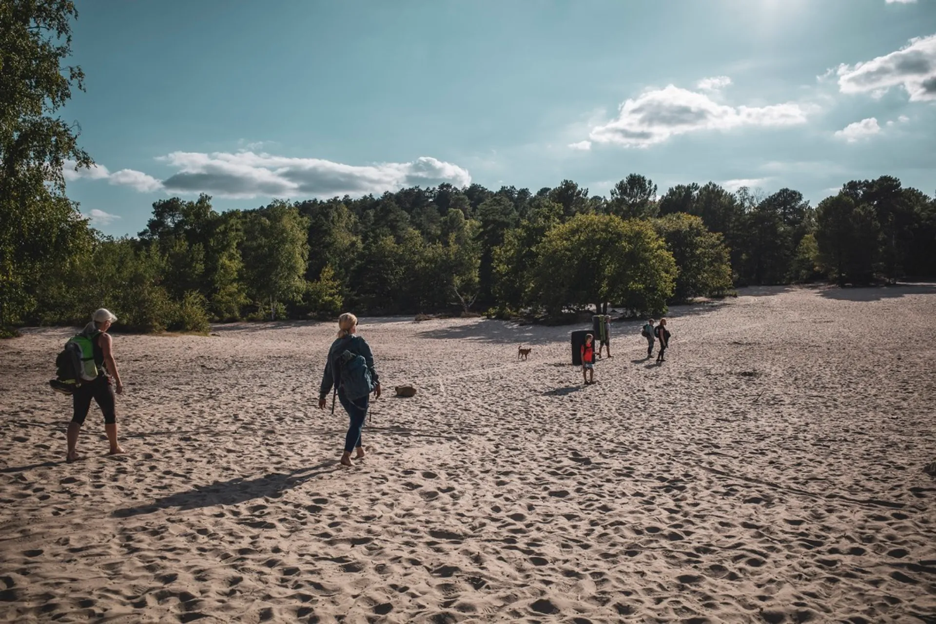 Boulderurlaub in Fontainebleau: Erlebe das Boulderparadies hautnah! - 3