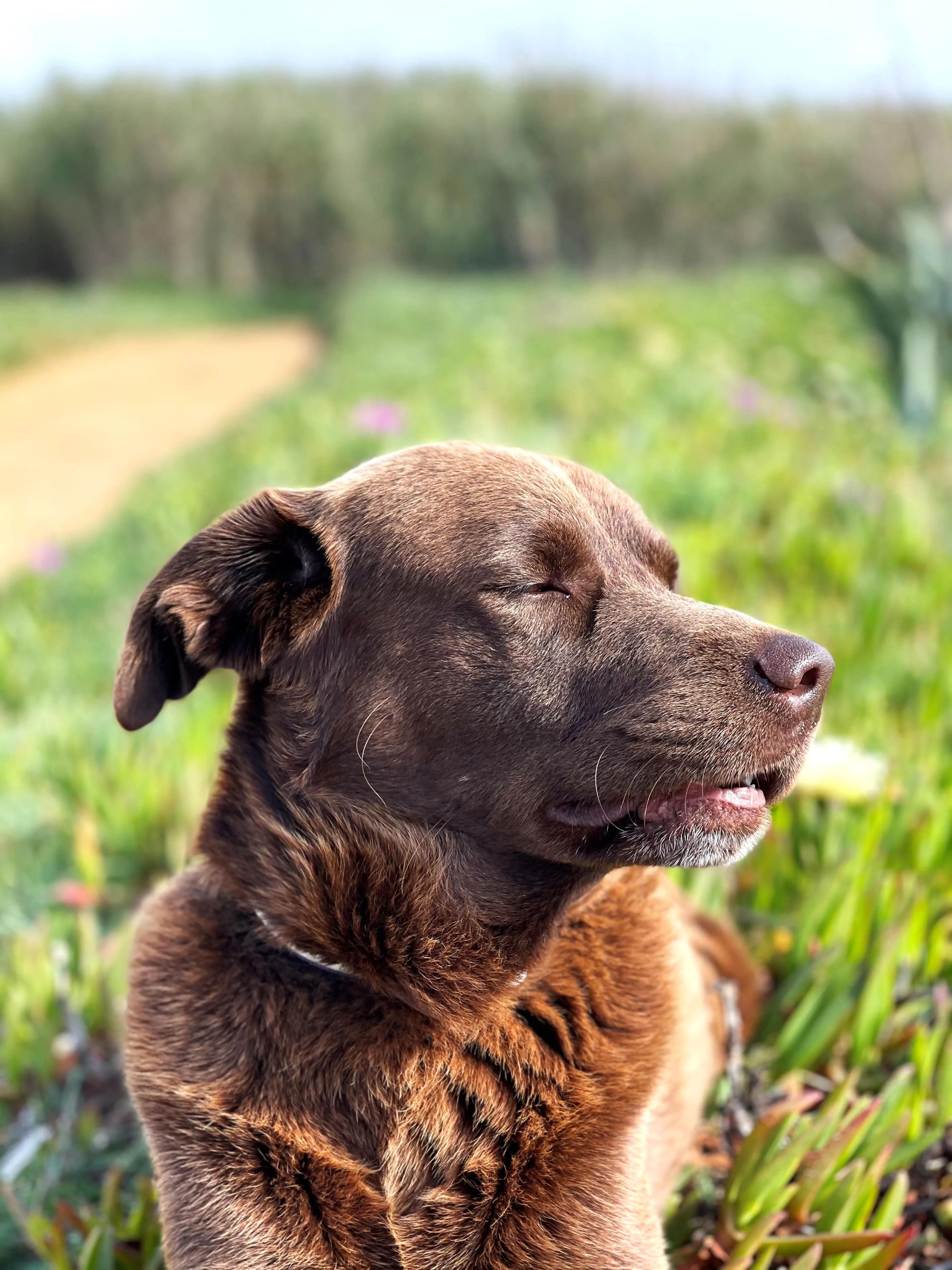 Entspannung und Erneuerung: Dein Yoga-Retreat an den Klippen Portugals - 5