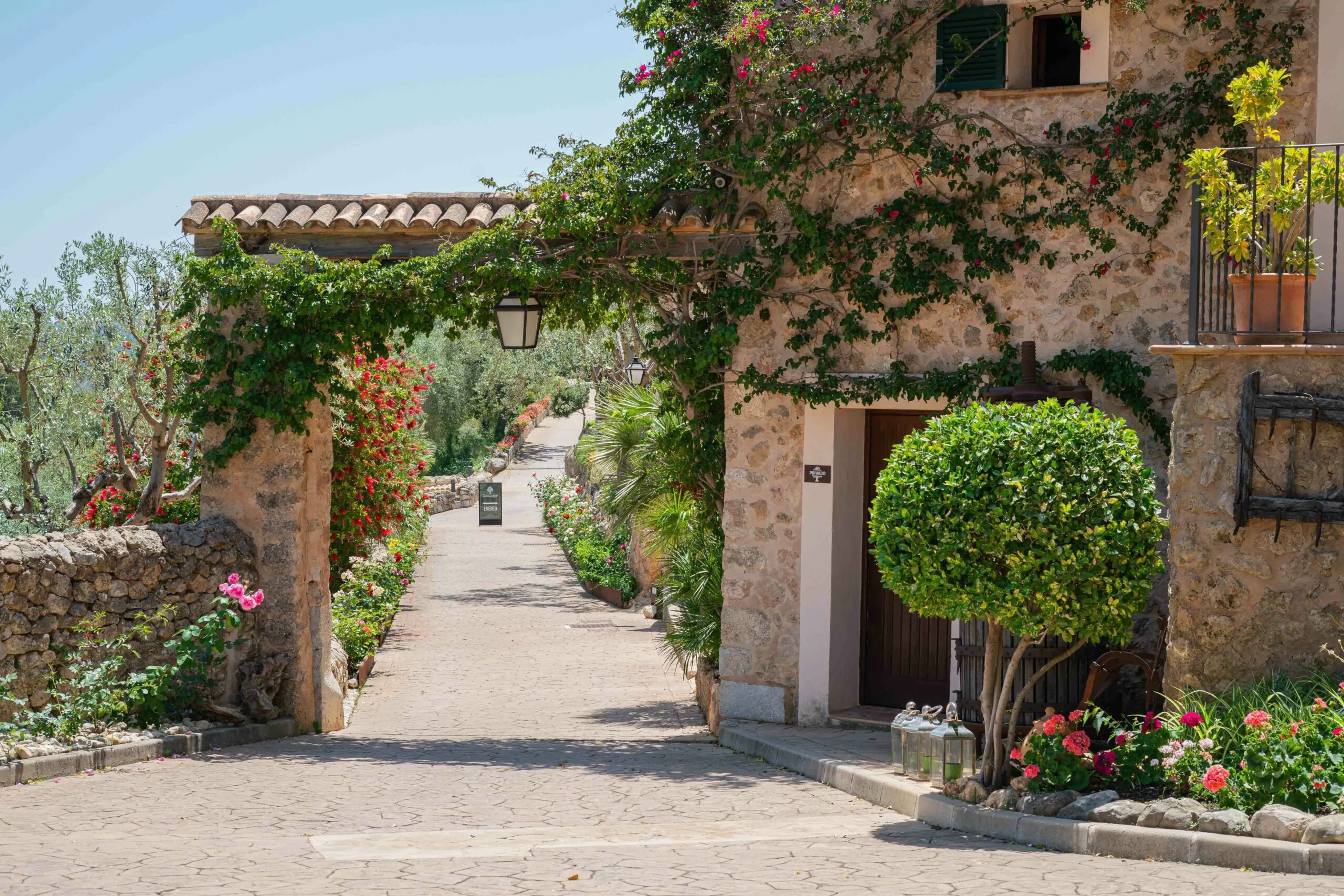 Mediterrane Genussmomente: Yoga-Retreat zwischen Weingütern - 3