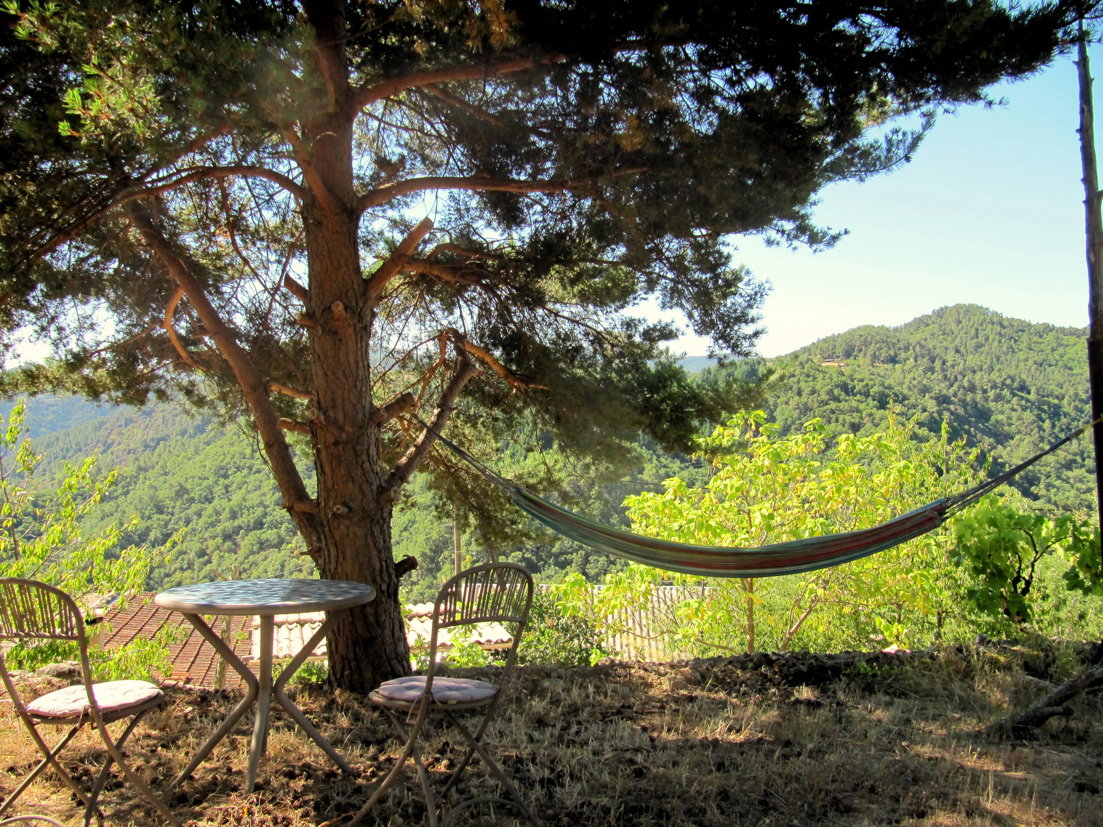 Yoga & Fitness Retreat: Geist, Körper und Herz im Einklang - 2