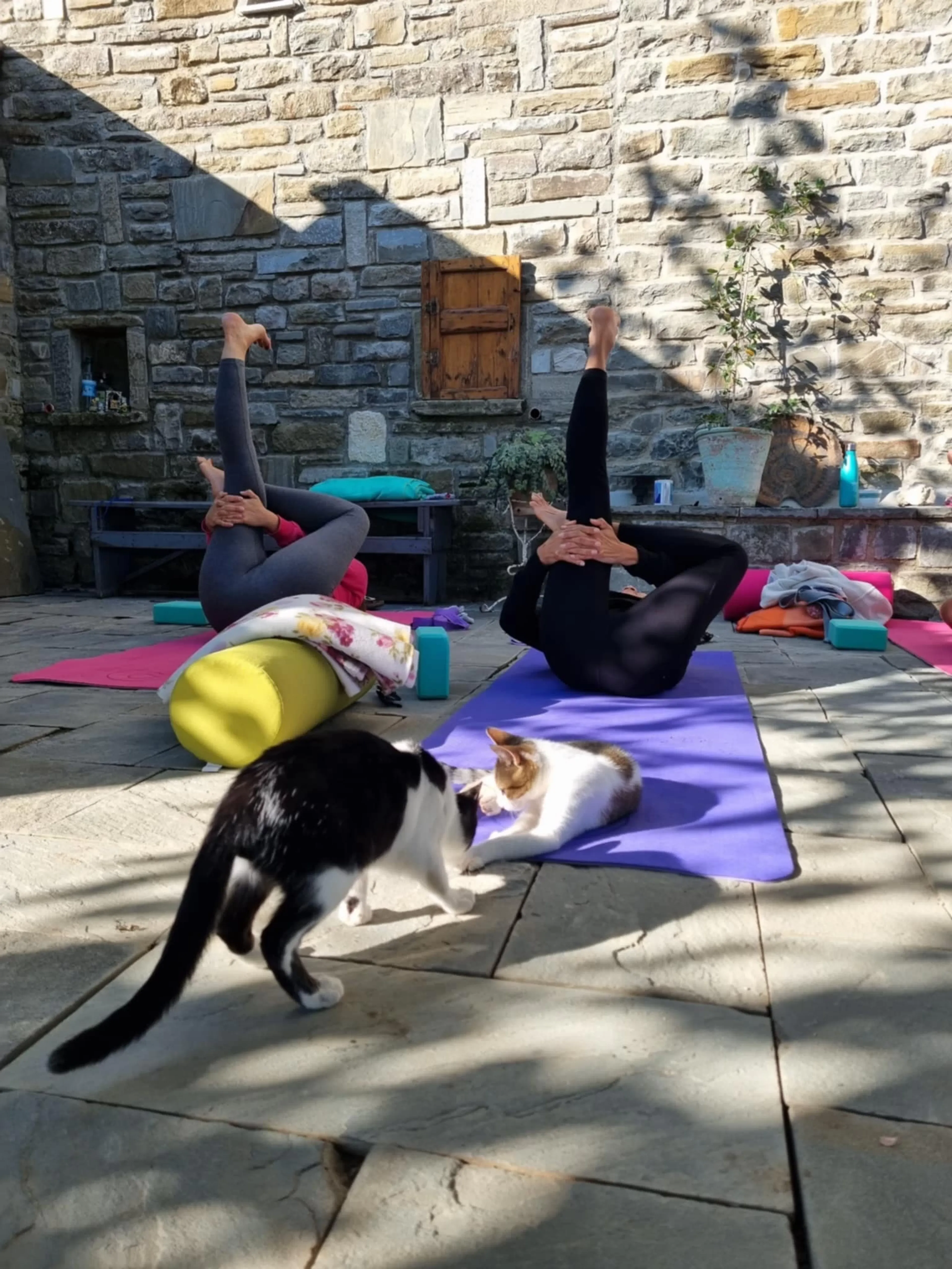 Yoga-Retreat im Vjosa-Nationalpark in Albanien - 4