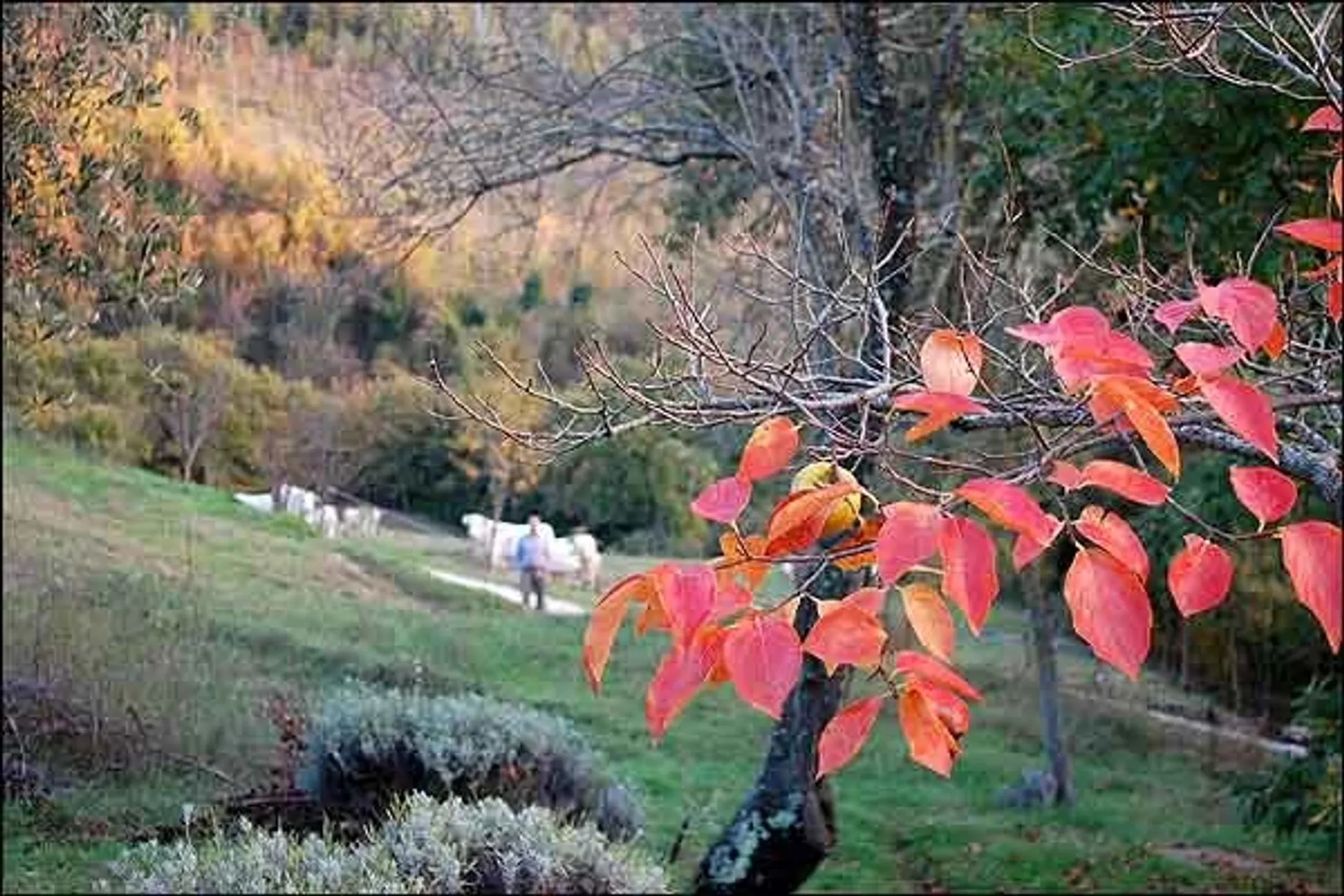 Individuelles Stille Retreat im italienischen Assisi - 2