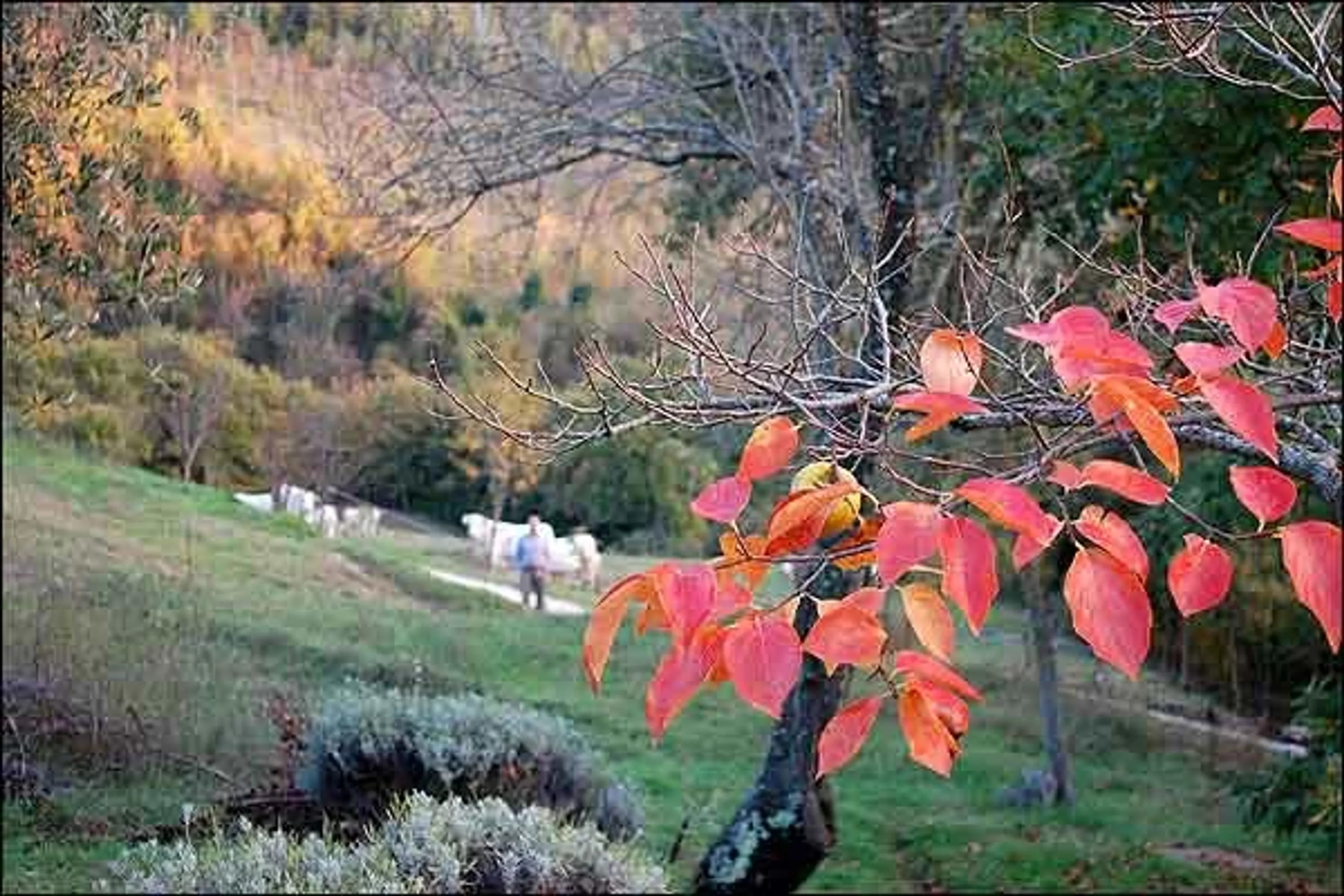 Individuelles Stille Retreat im italienischen Assisi - 2