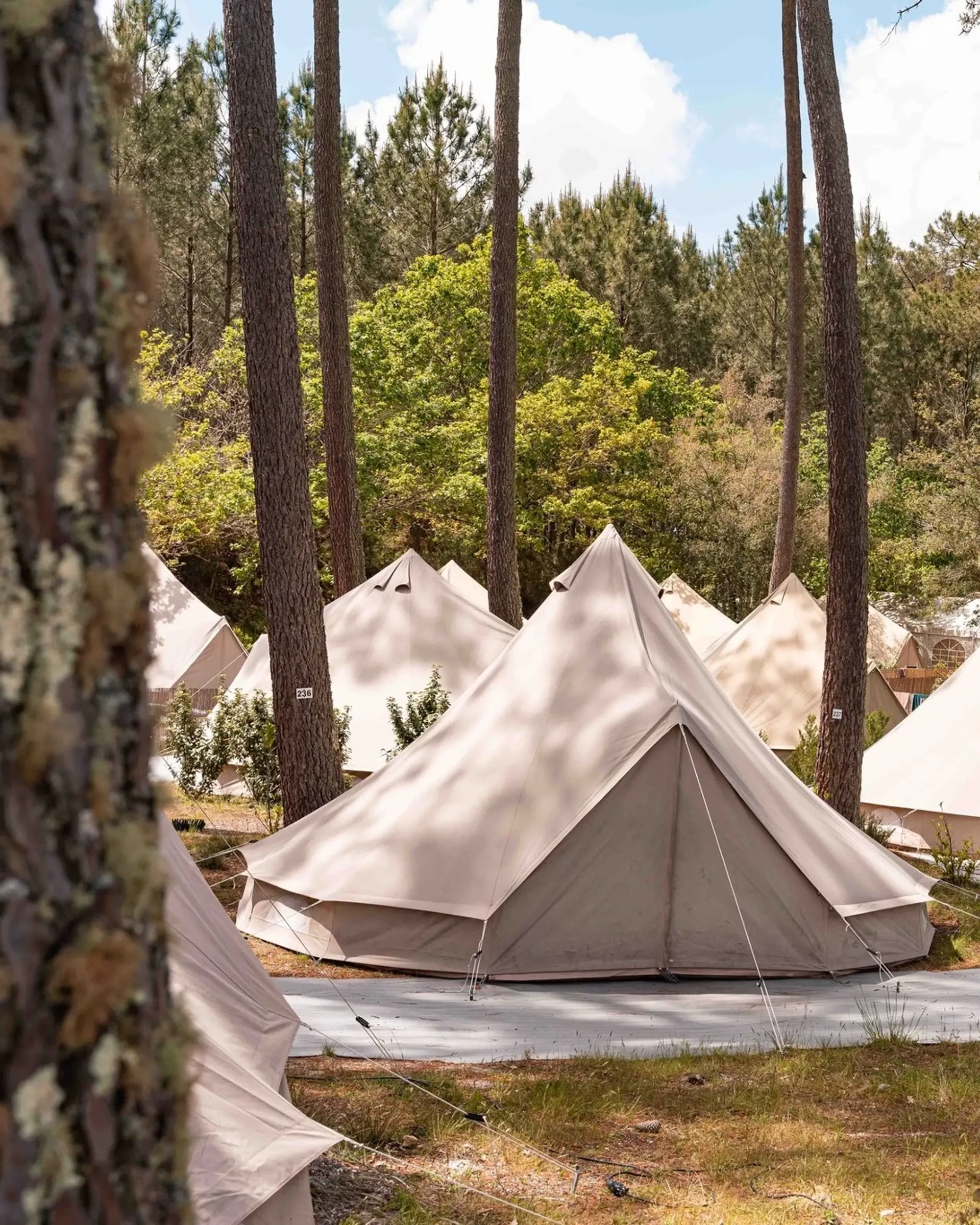 Familien-Surfcamp in Frankreich – Surfen, Natur & gemeinsame Zeit - 3