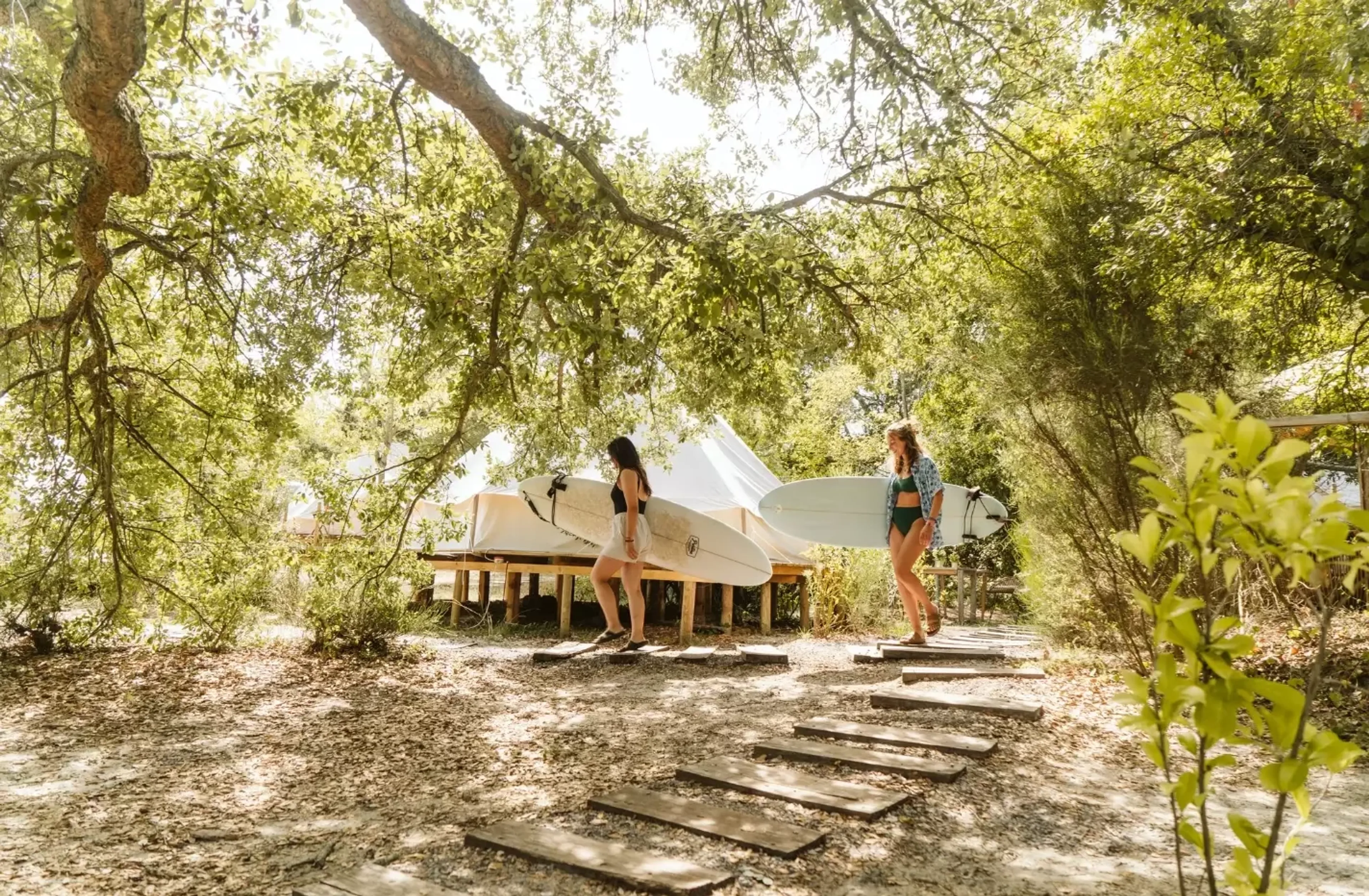Surfcamp in Frankreich: Zwischen Pinien, Atlantik & Gemeinschaft