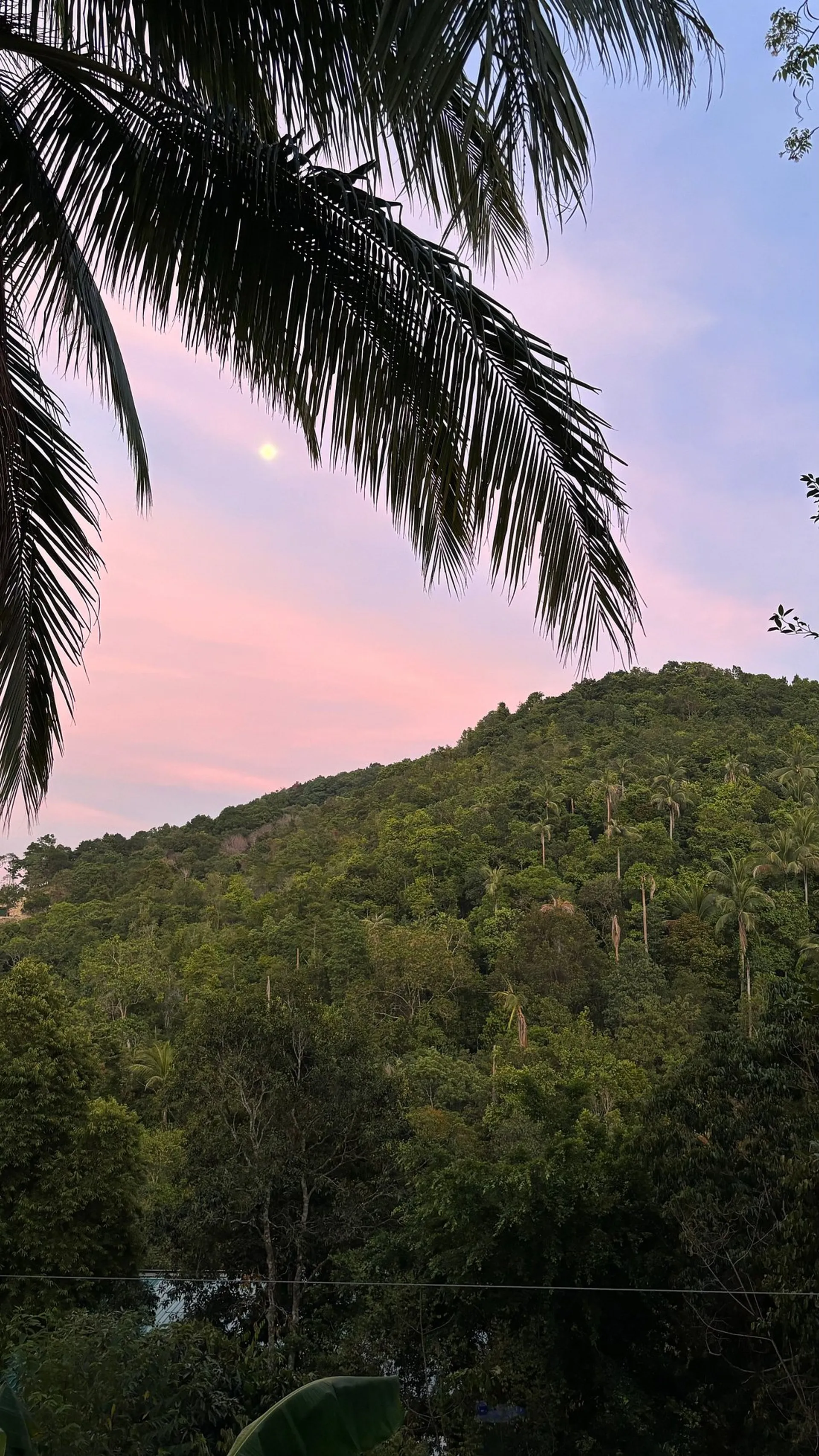 Yoga- & Detox-Retreat im Dschungel: Etabliere einen neuen Lebensstil - 5
